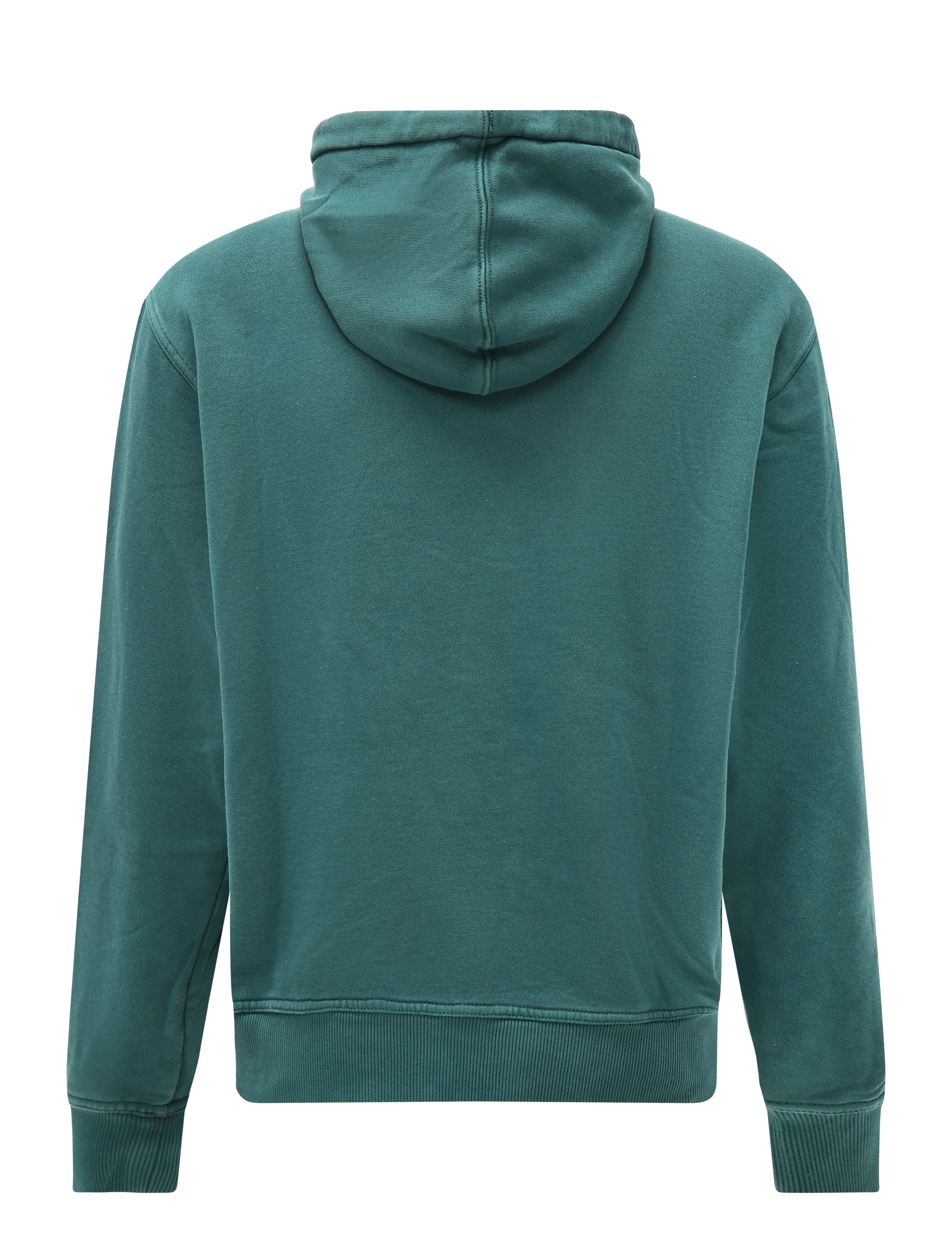 Dickies - SUTCLIFFE HOODIE - hoodies - dark green - 1