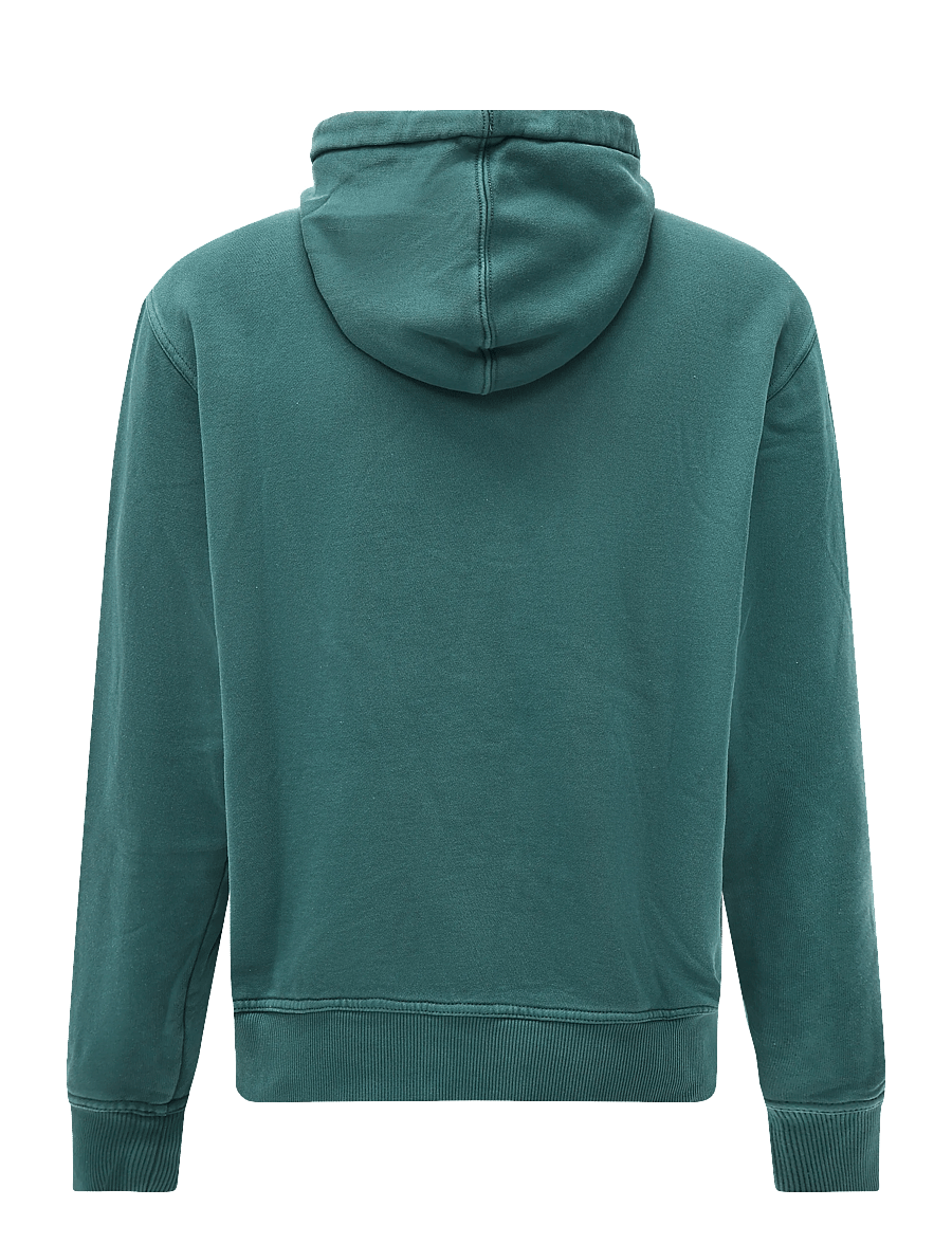 Dickies - SUTCLIFFE HOODIE - hoodies - dark green - 1