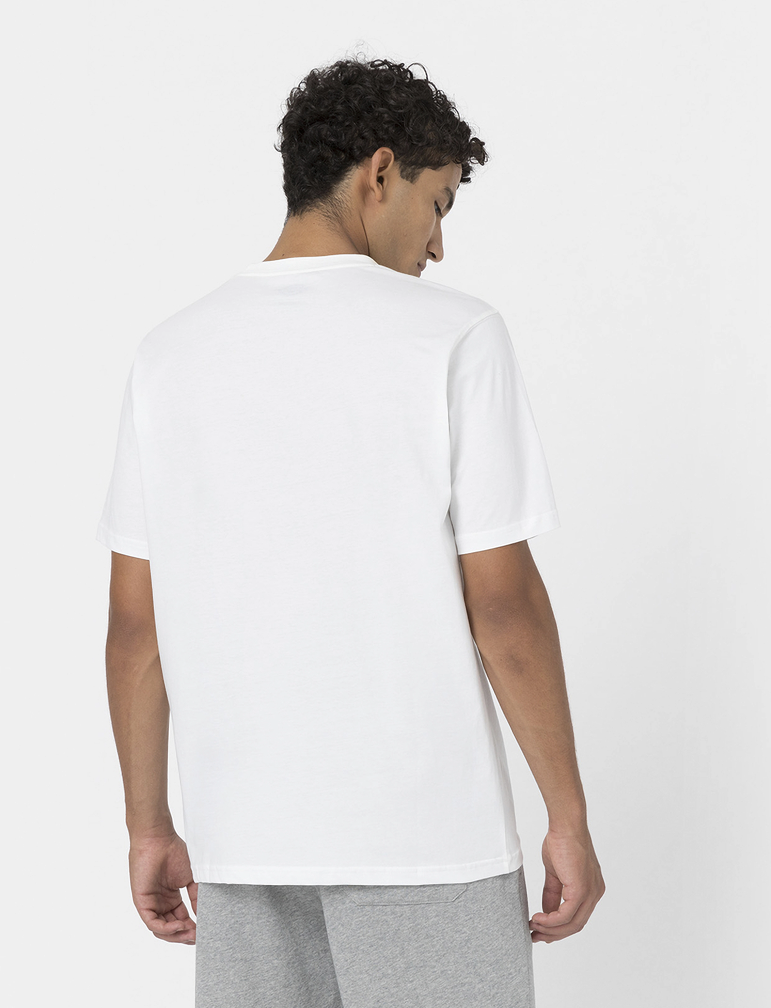 Dickies - DICKIES TSHT PK  - kurzärmelig - white - 2