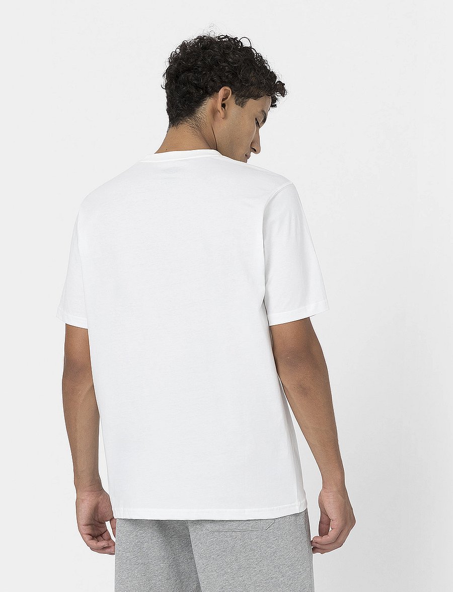 Dickies - DICKIES TSHT PK - kurzärmelig - white - 2