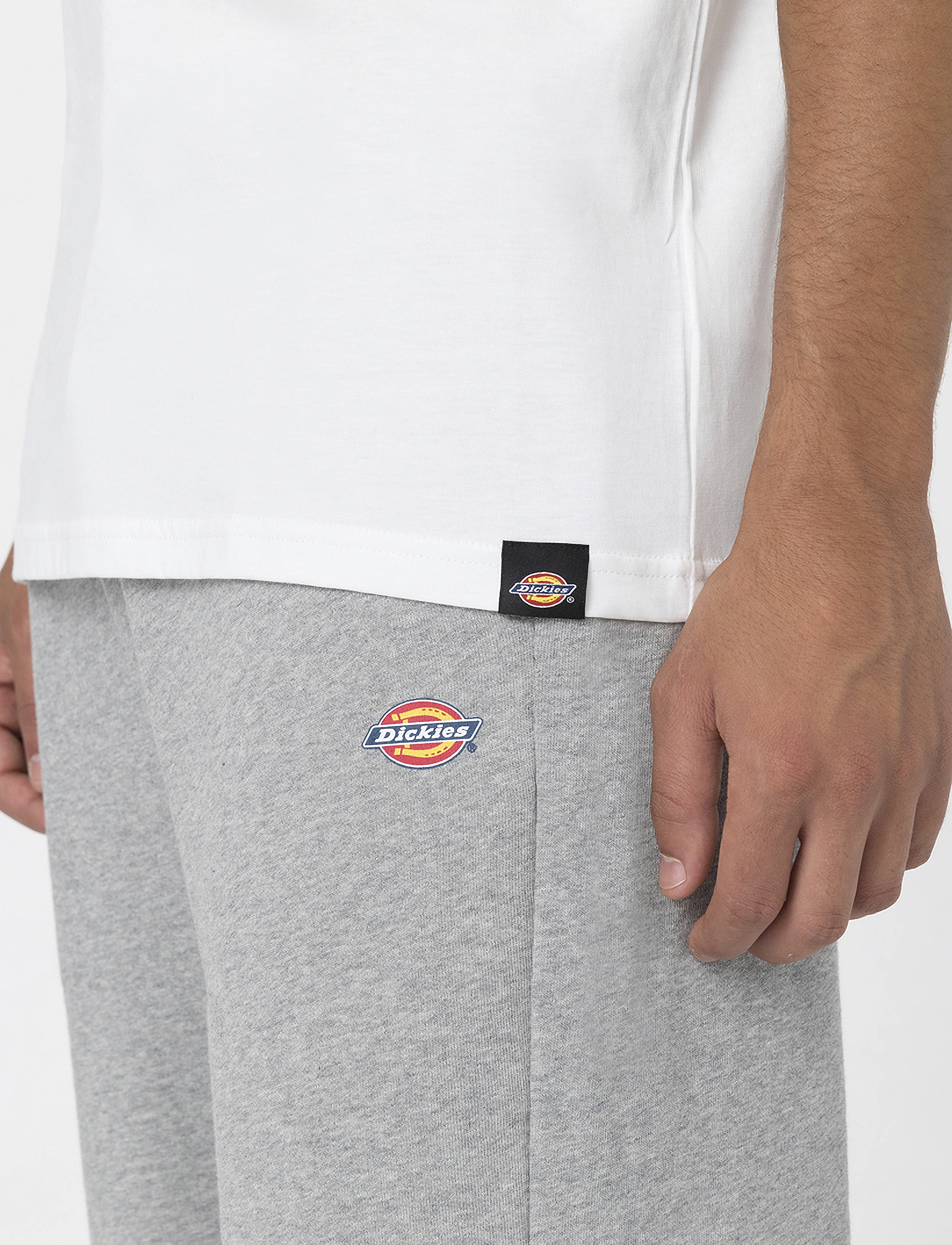 Dickies - DICKIES TSHT PK  - kurzärmelig - white - 4
