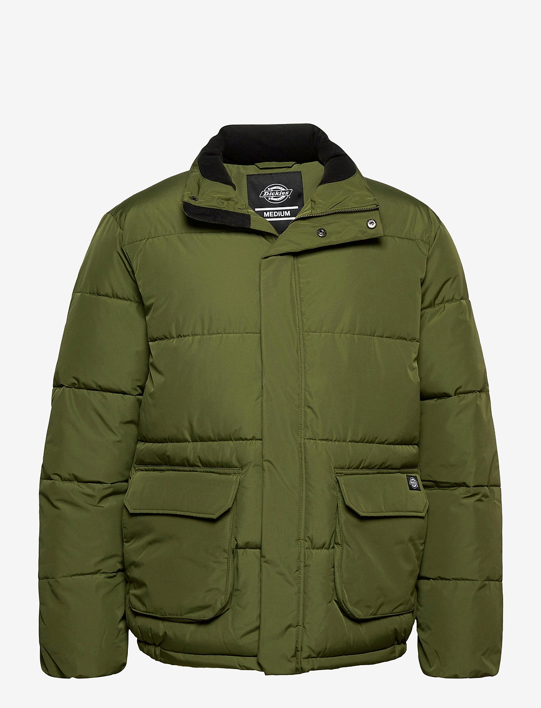Dickies olaton 2025