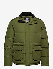 Dickies - OLATON JACKET - winter jackets - army green - 0