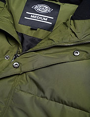 Dickies - OLATON JACKET - winter jackets - army green - 3