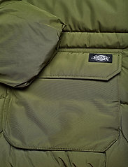 Dickies - OLATON JACKET - winter jackets - army green - 4