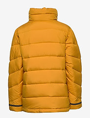 Didriksons - ABBORREN KIDS JKT - insulated jackets - yellow ochre - 2