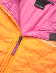 Didriksons - DORO KIDS JKT - insulated jackets - happy orange - 9