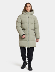 Didriksons - NOMI WNS PARKA 3 - pitkät toppatakit - wilted leaf - 3