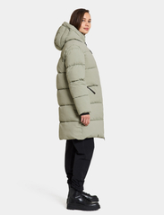 Didriksons - NOMI WNS PARKA 3 - pitkät toppatakit - wilted leaf - 6