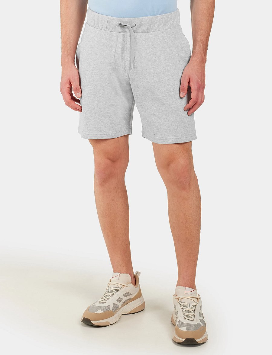 Didriksons - FEJAN USX SHORTS - püksid - aluminum melange - 0