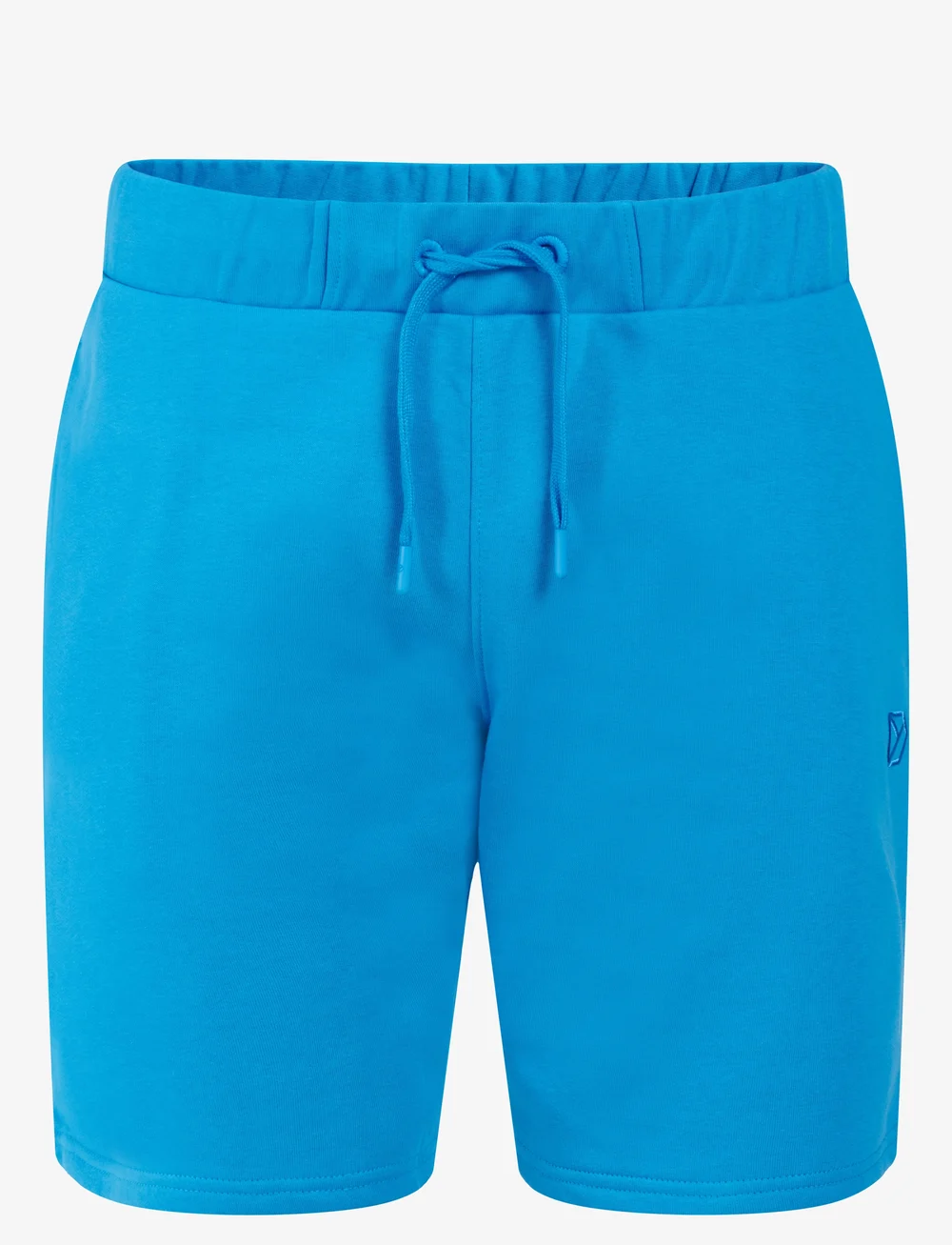 Didriksons - FEJAN USX SHORTS - püksid - sharp blue - 1