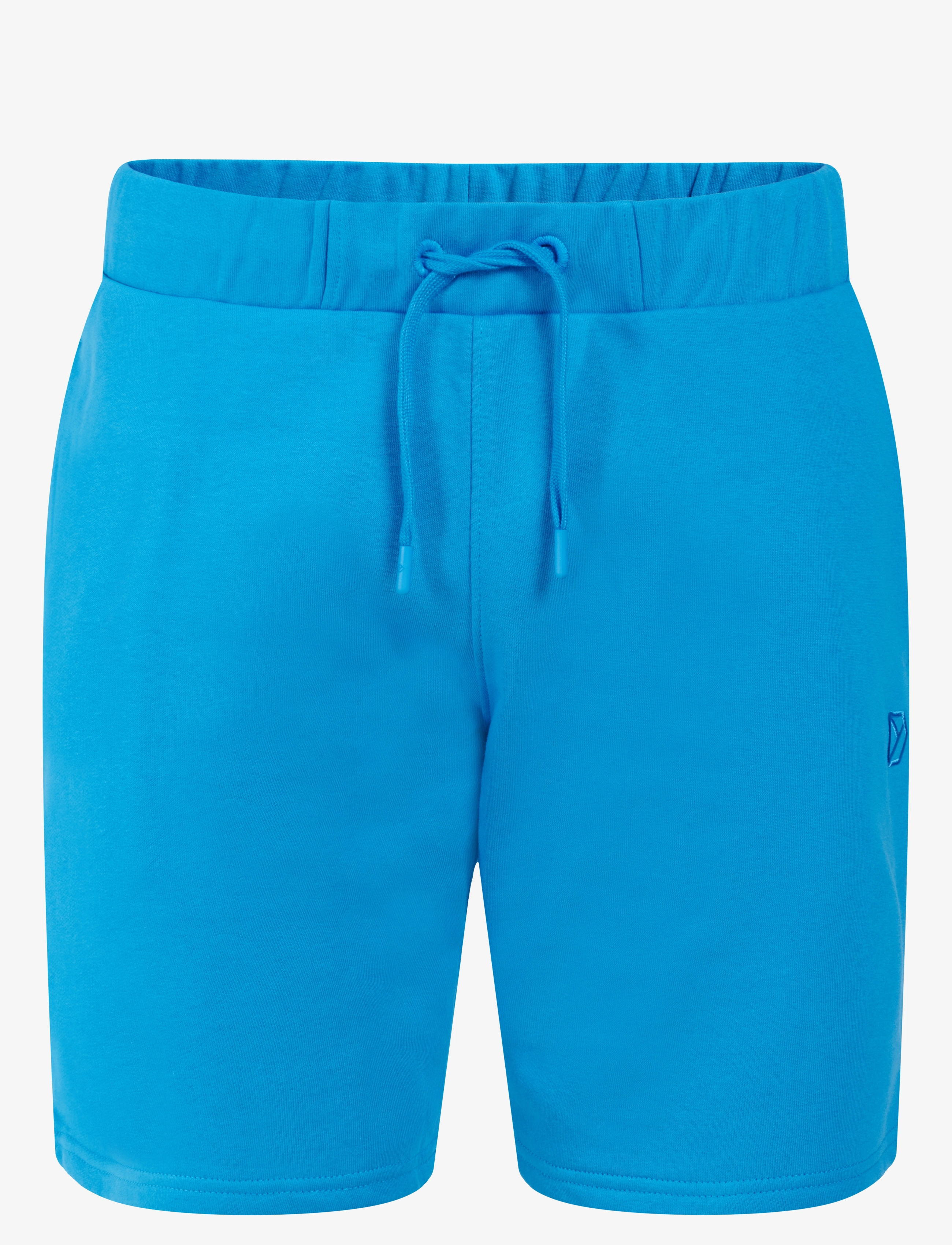 Didriksons FEJAN USX SHORTS - Shorts - SHARP BLUE / blue