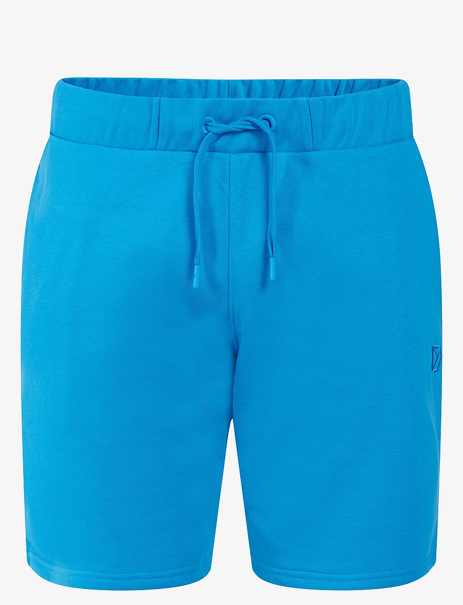 Didriksons - FEJAN USX SHORTS - apatinės dalies rūbai - sharp blue - 1