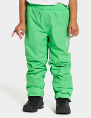 Didriksons - IDUR KIDS PANTS 4 - shell & rain pants - frog green - 2