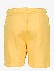 Didriksons - CORIN KIDS SHORTS 2 - treniņtērpa šorti - creamy yellow - 1