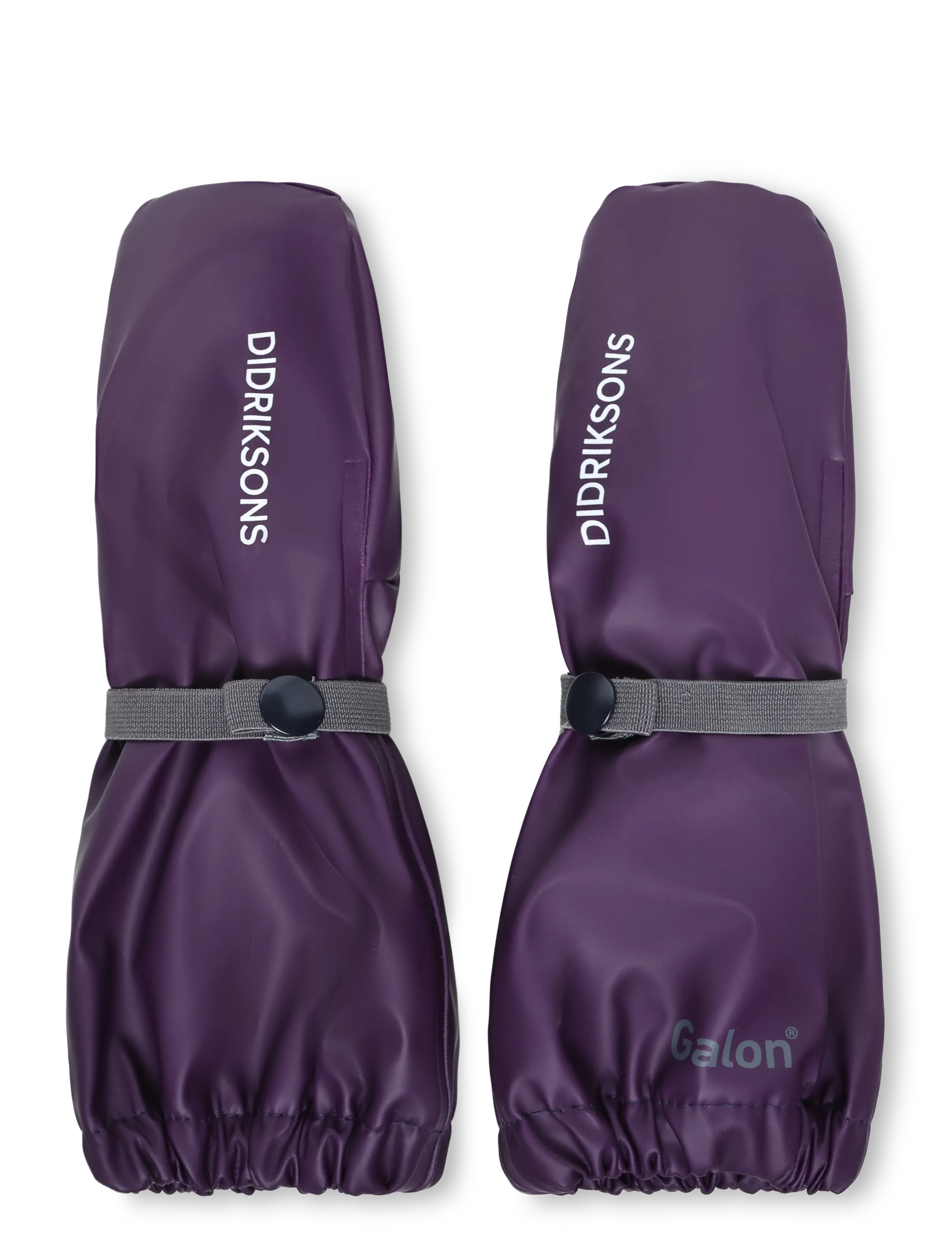 NORTHEN PURPLE