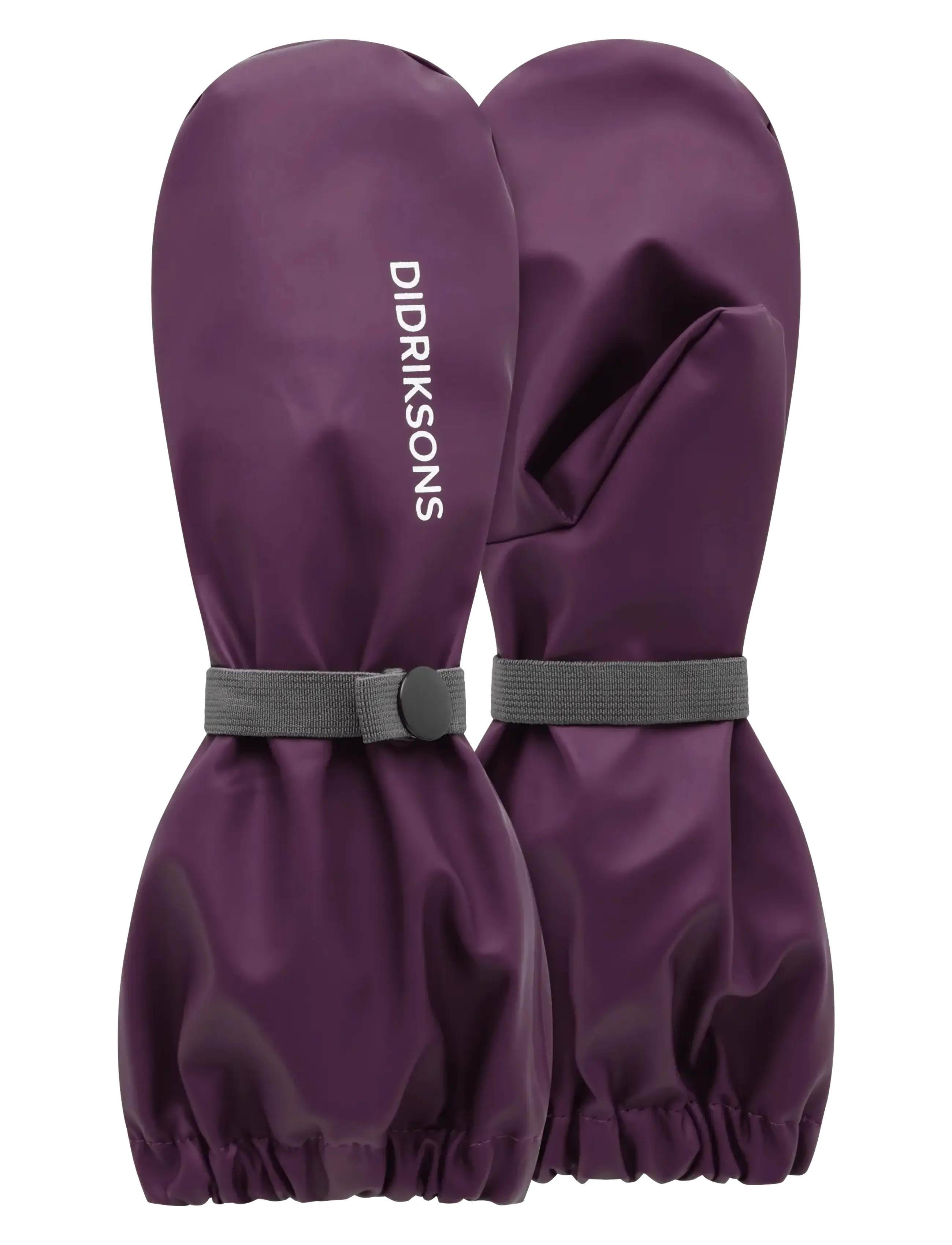 NORTHEN PURPLE