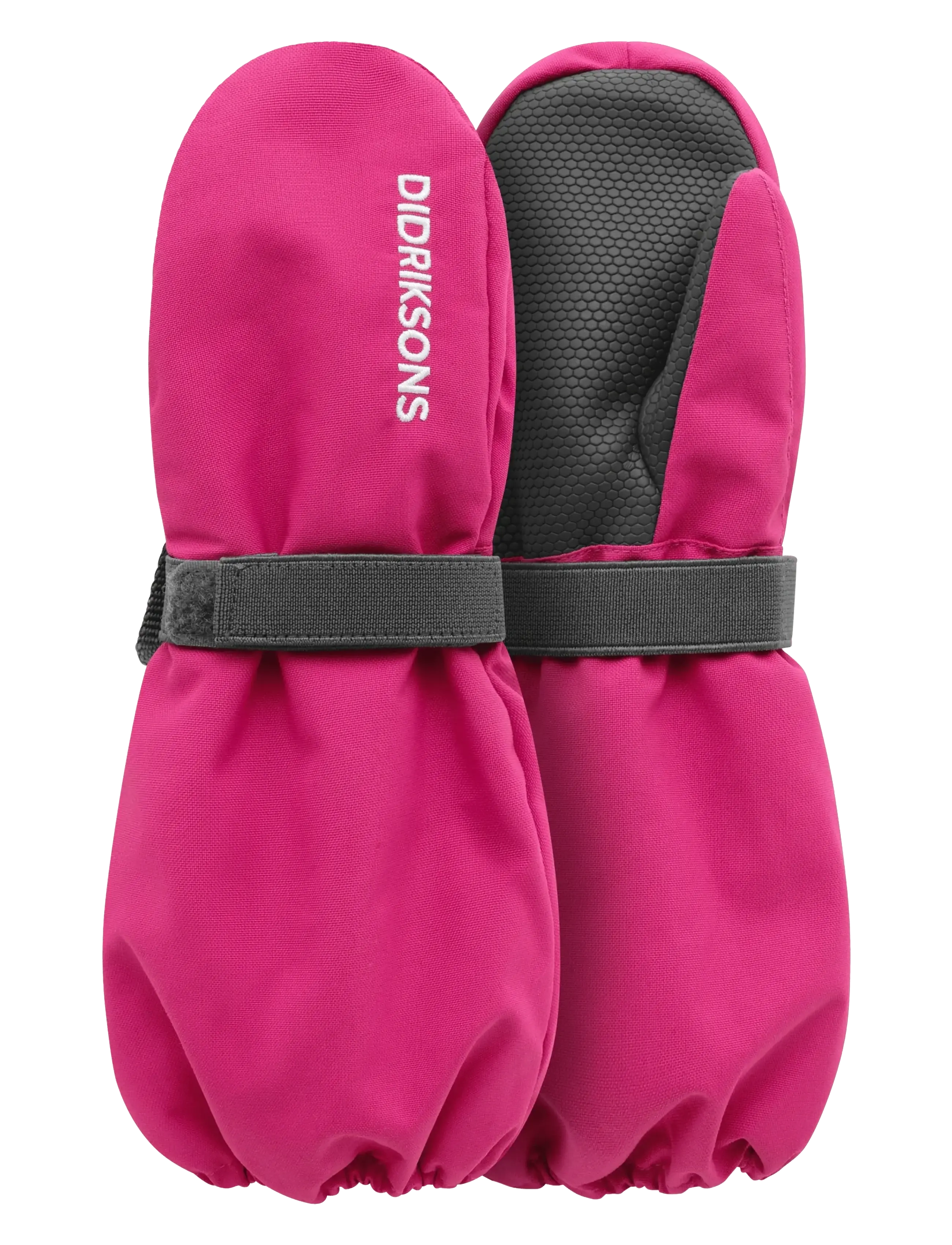 CACTUS PINK