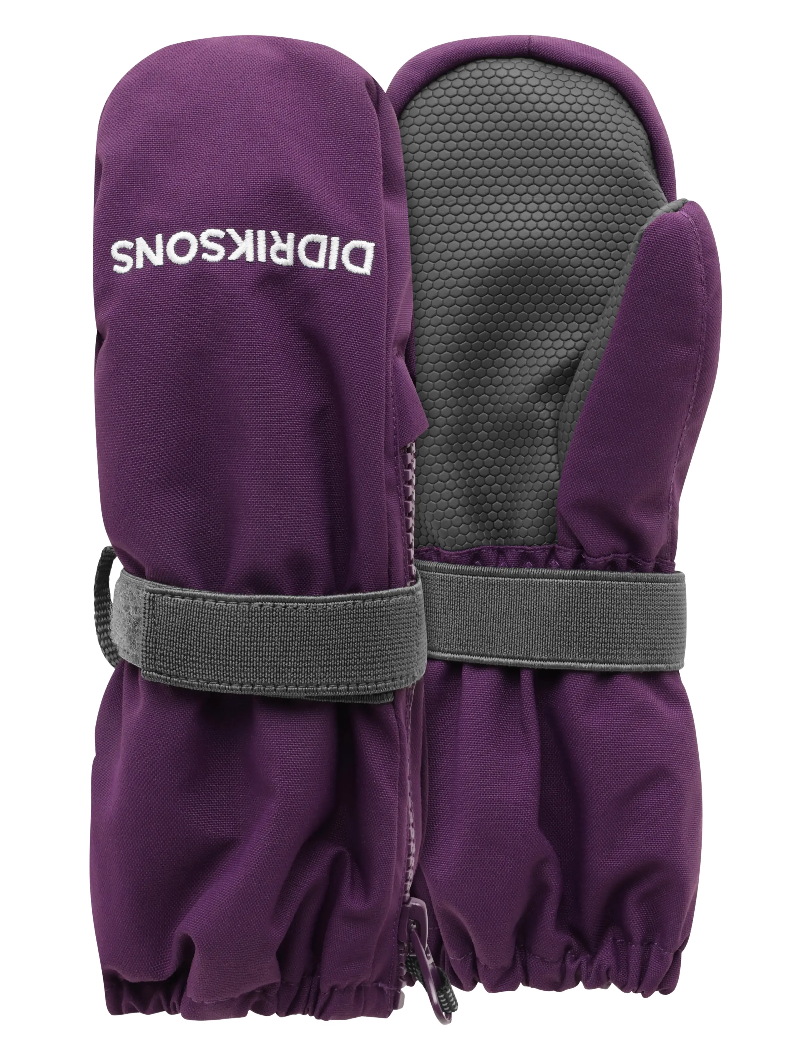 NORTHEN PURPLE