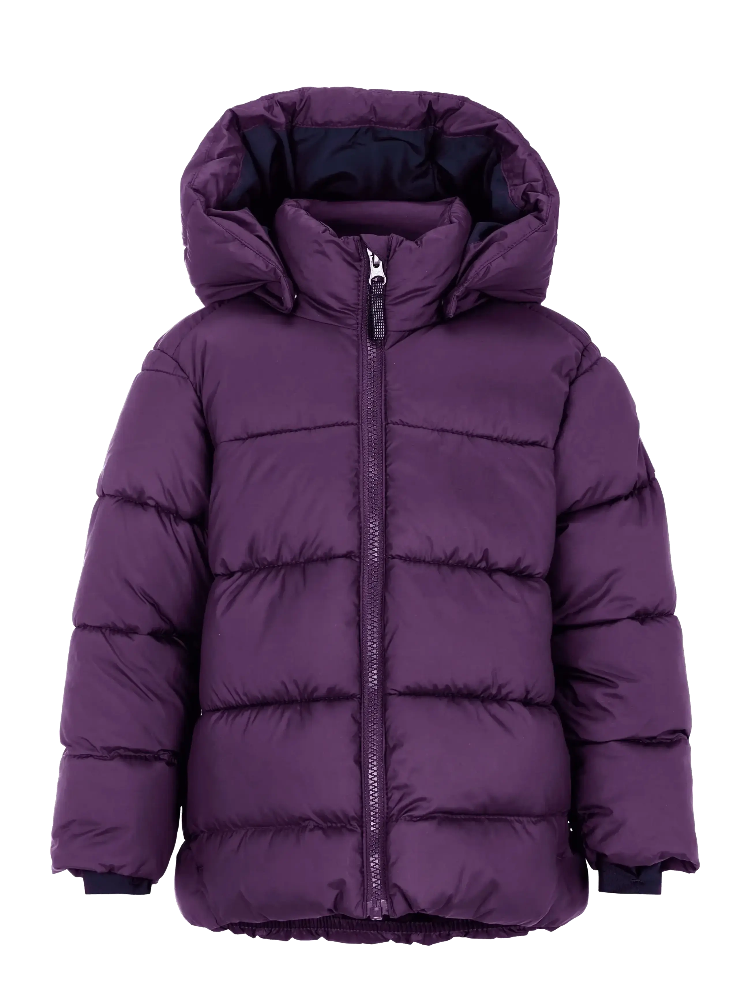 NORTHEN PURPLE