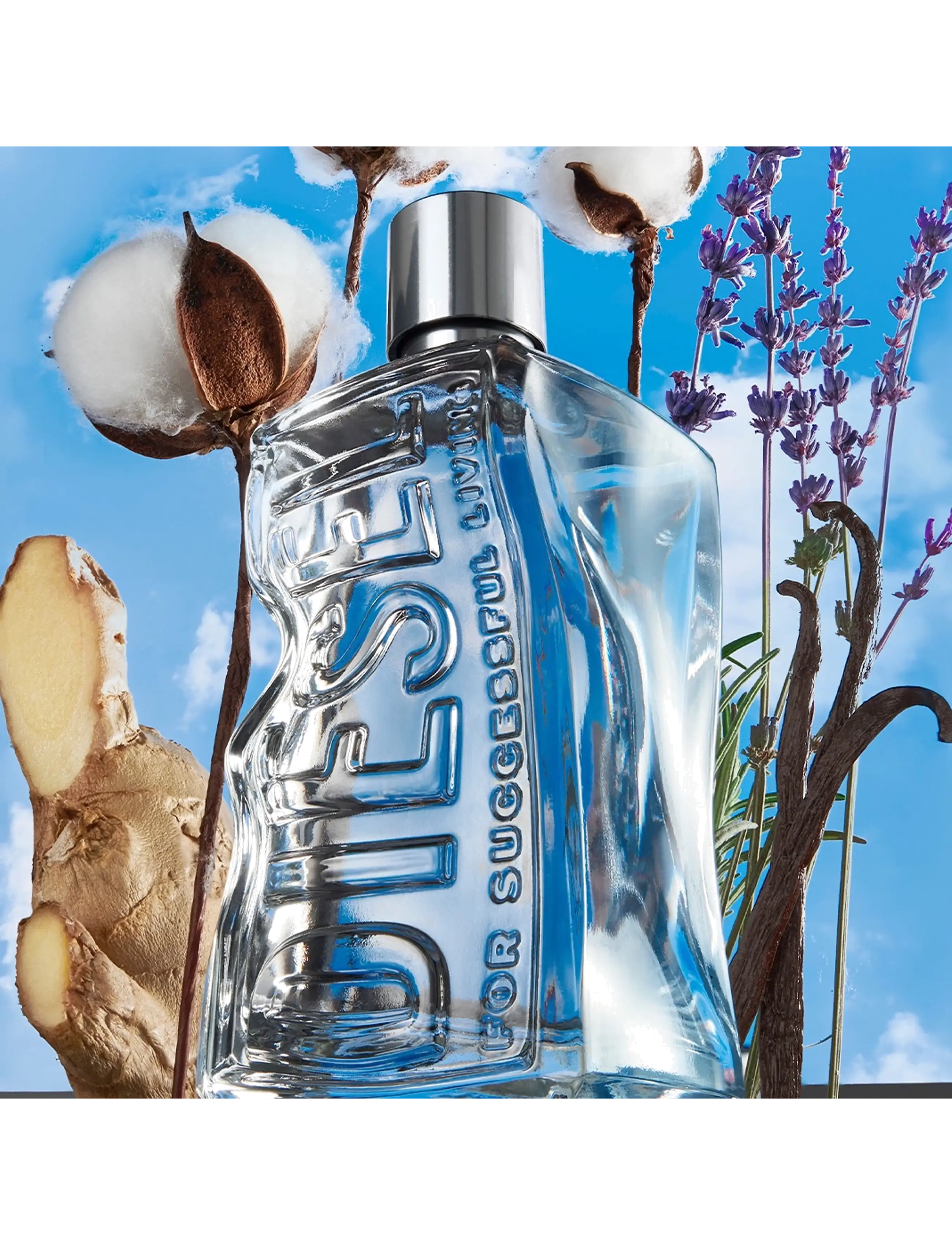 Diesel Fragrance Diesel D By Diesel Eau De Toilette 3