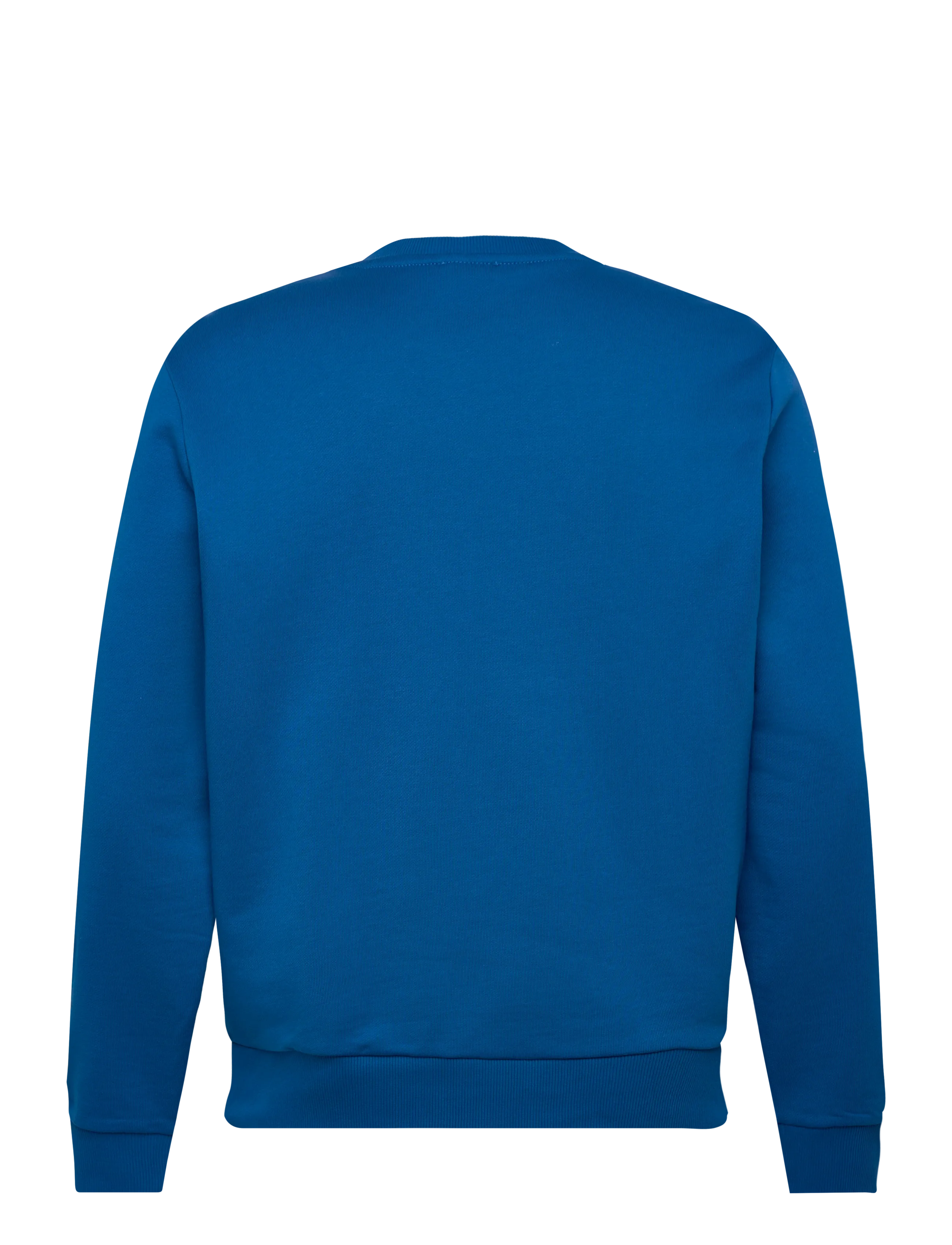 Diesel - S-GIR-CREWNECK TONE ON TONE FELPA - džemperiai - classic blue - 2