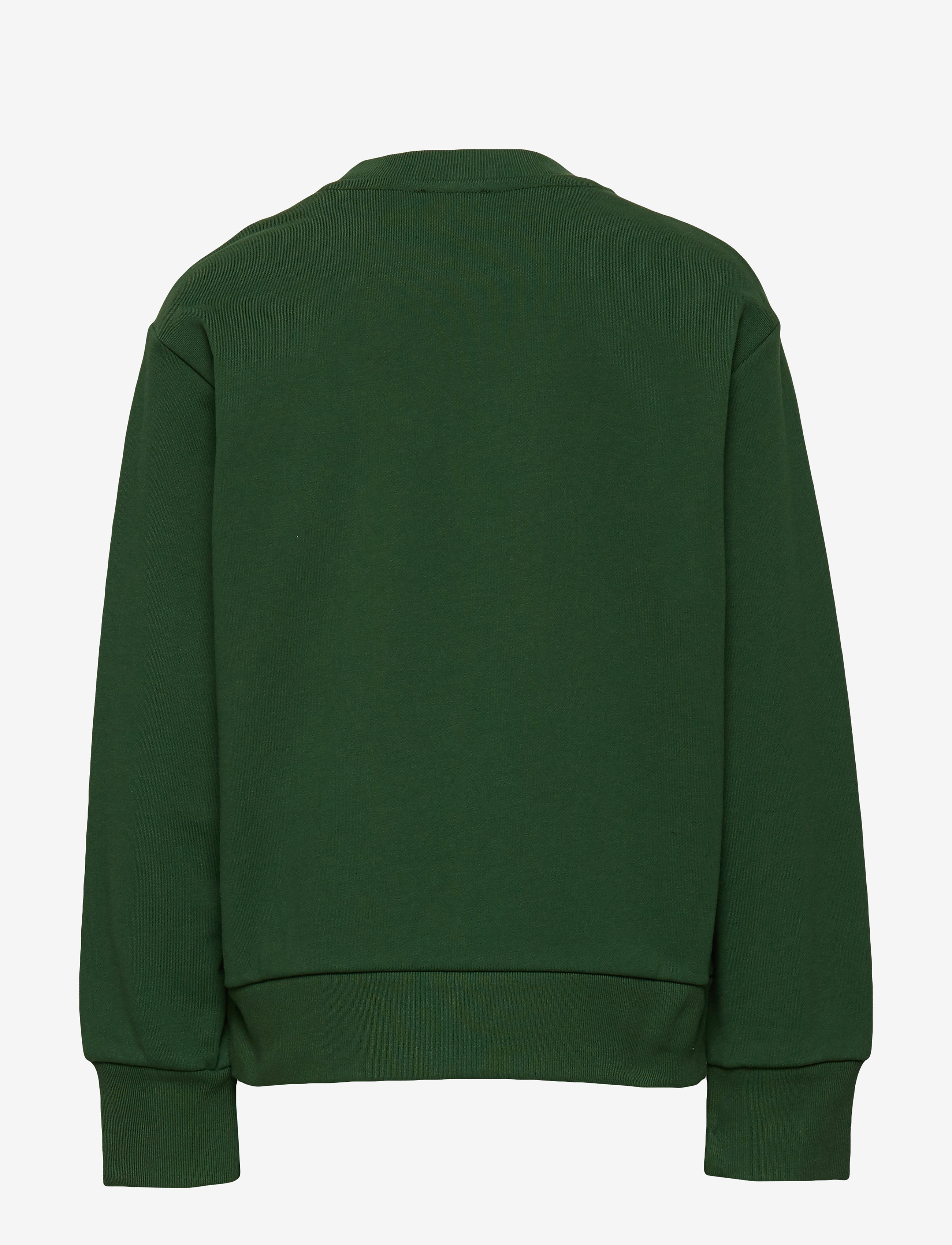 Diesel - SCREWDIVISION OVER SWEAT-SHIRT - dark green - 1