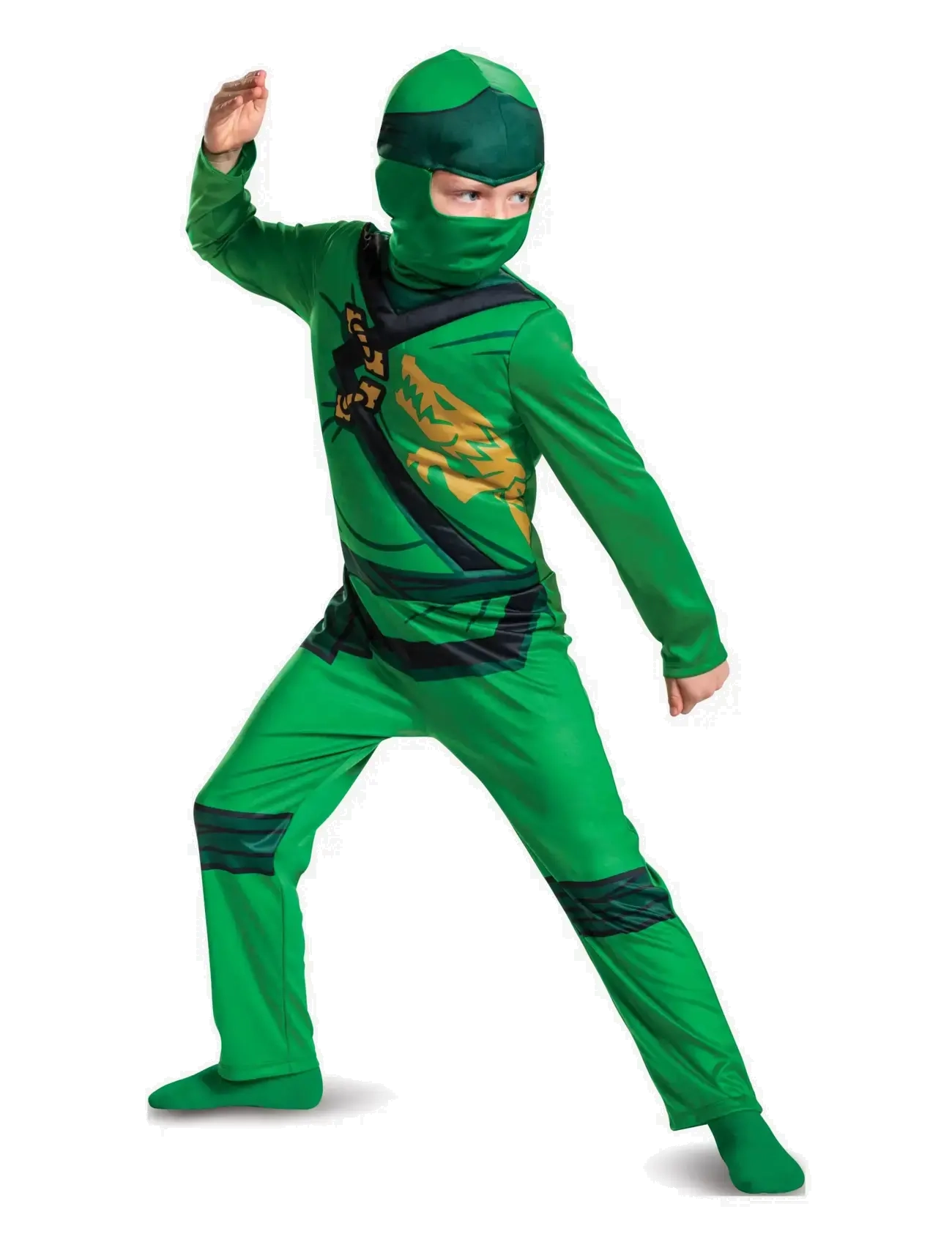 Disguise Lloyd Fancy Dress Intl - App deal - GREEN / green
