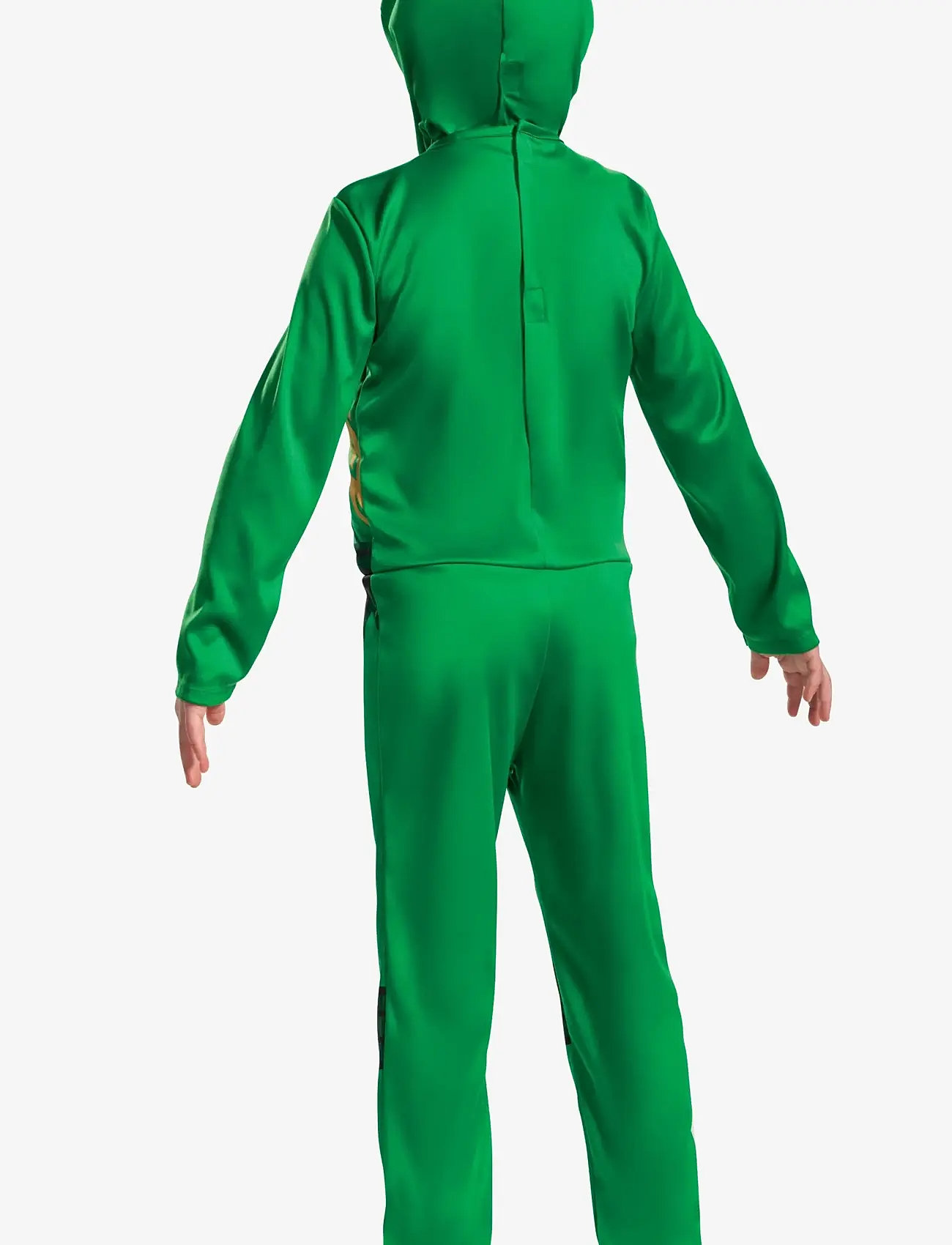 Disguise - Lloyd Fancy Dress Intl - green - 1