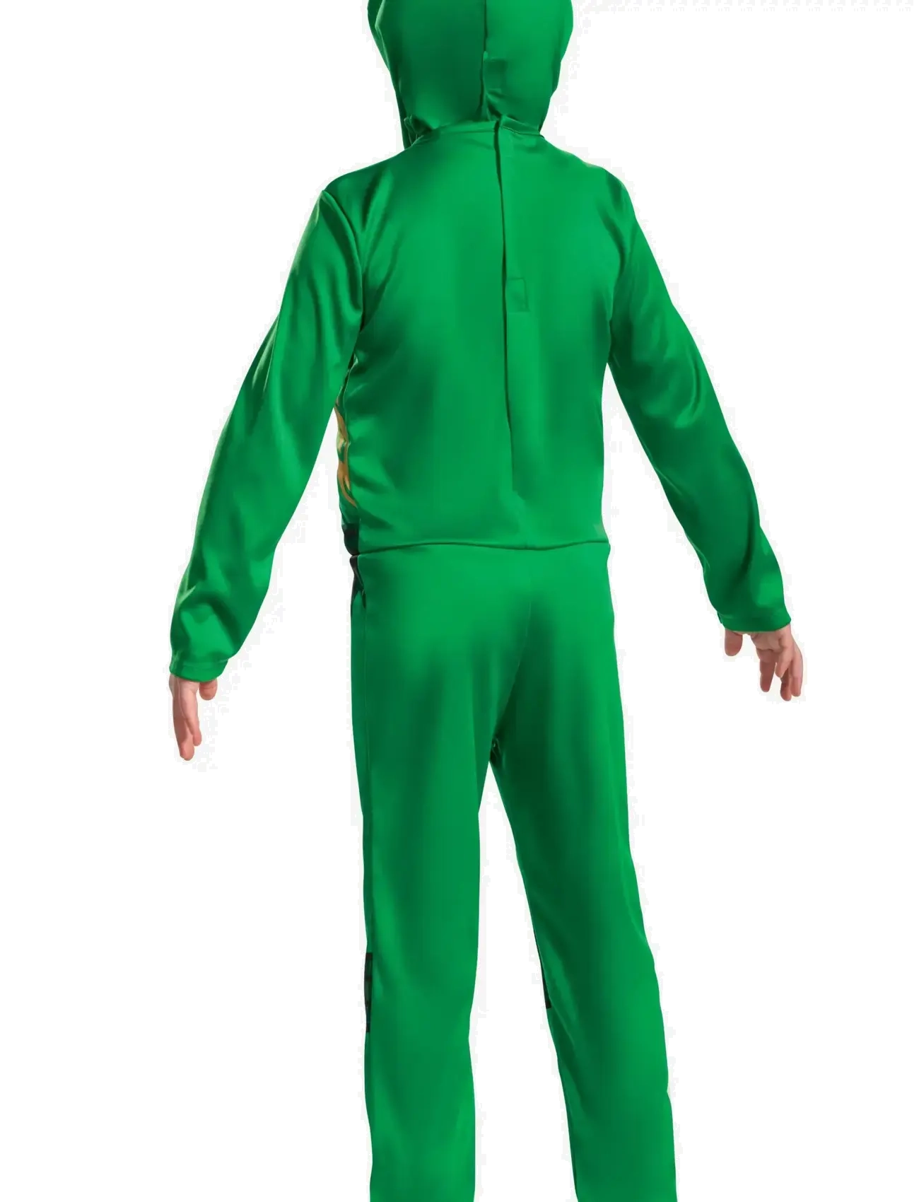 Disguise - Lloyd Fancy Dress Intl - maskeradkläder - green - 1