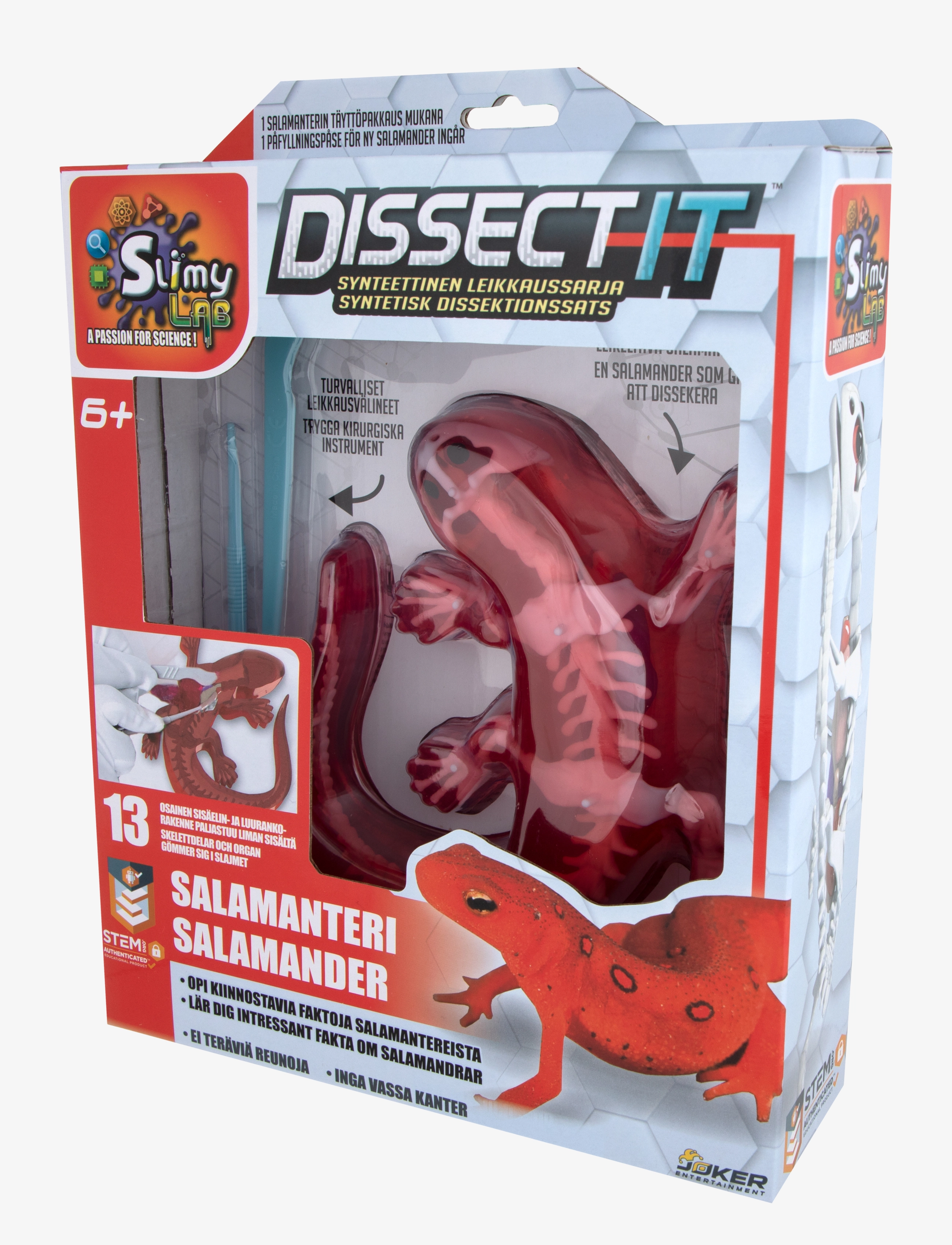 MARTINEX Dissect It Salamander Patterned - SWEDISH - Kinder