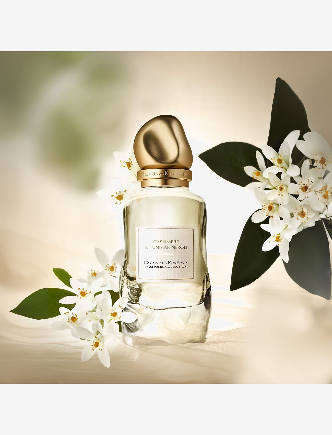 Donna Karan/DKNY Fragrance - DONNA KARAN Cashmere Collection Eau de parfum tunisian neroli 100 ML - redo för date night - clear - 2