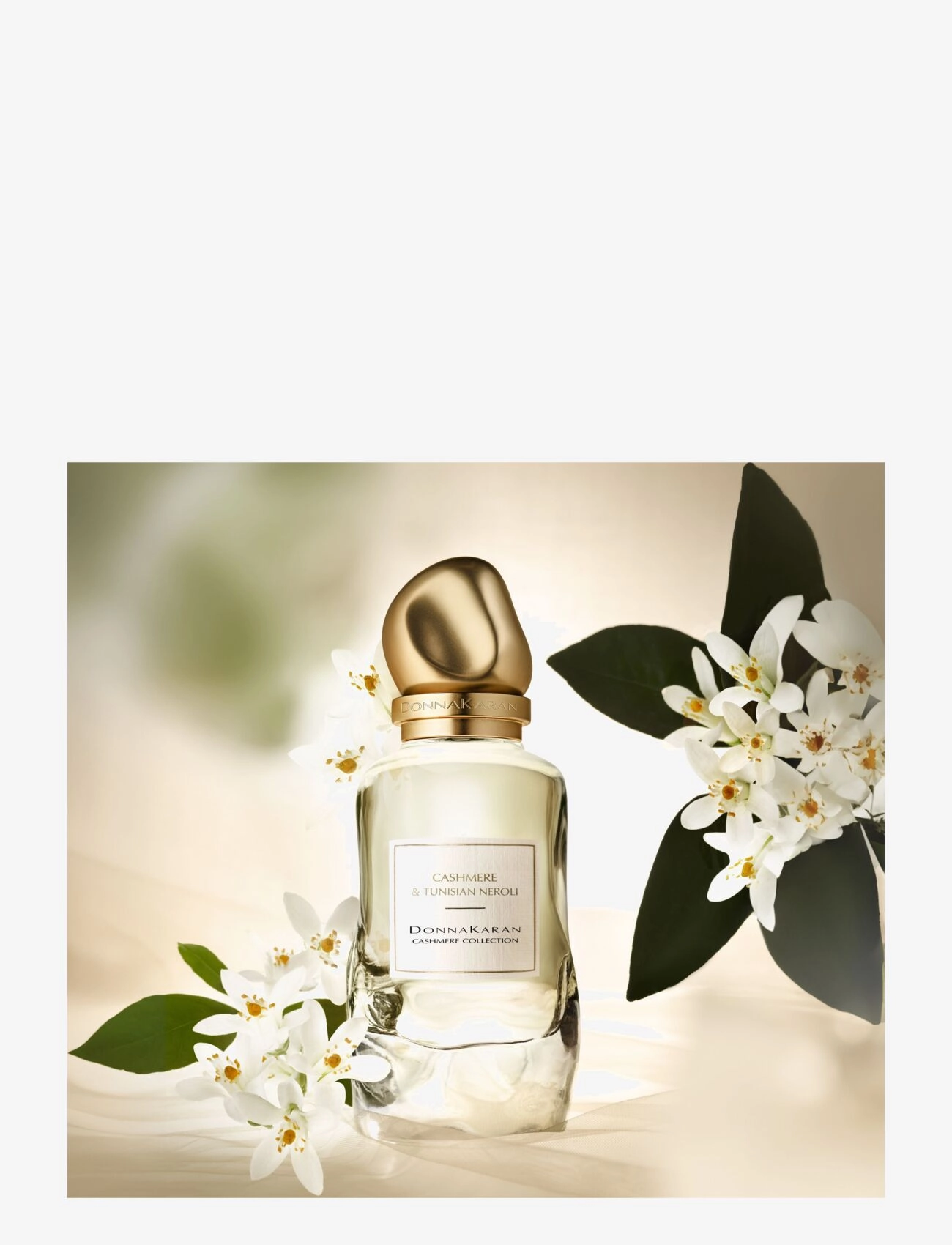 Donna Karan/DKNY Fragrance - DONNA KARAN Cashmere Collection Eau de parfum tunisian neroli 100 ML - clear - 2