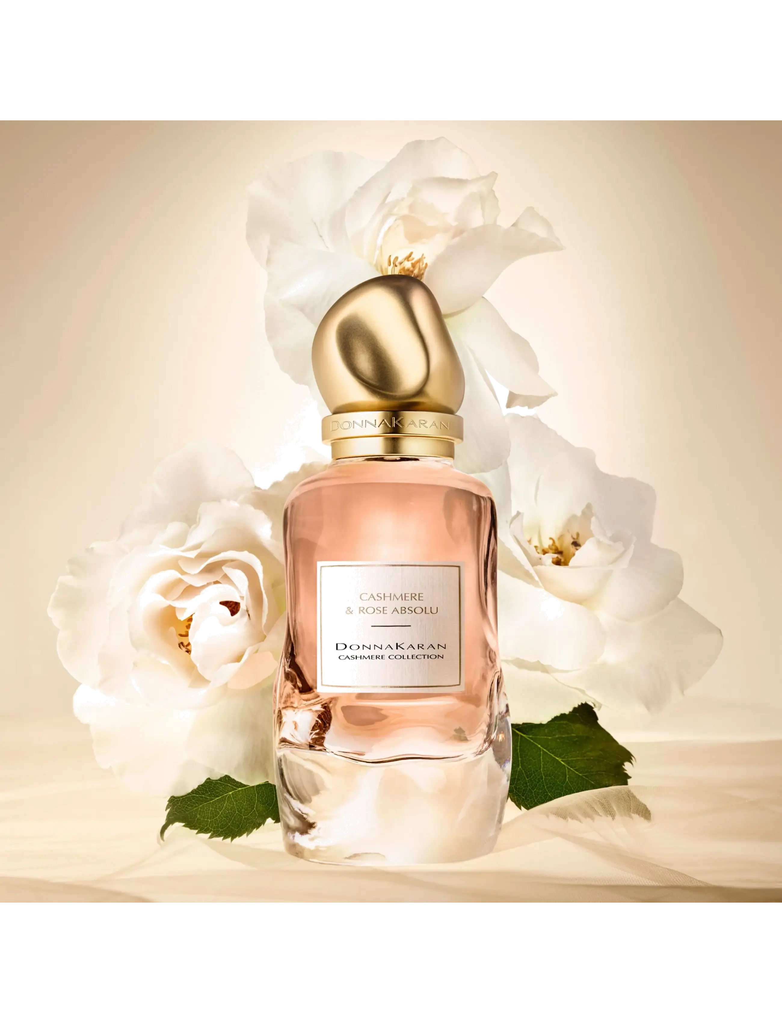 Cashmere Collection Rose Absolu Eau De Parfum 3