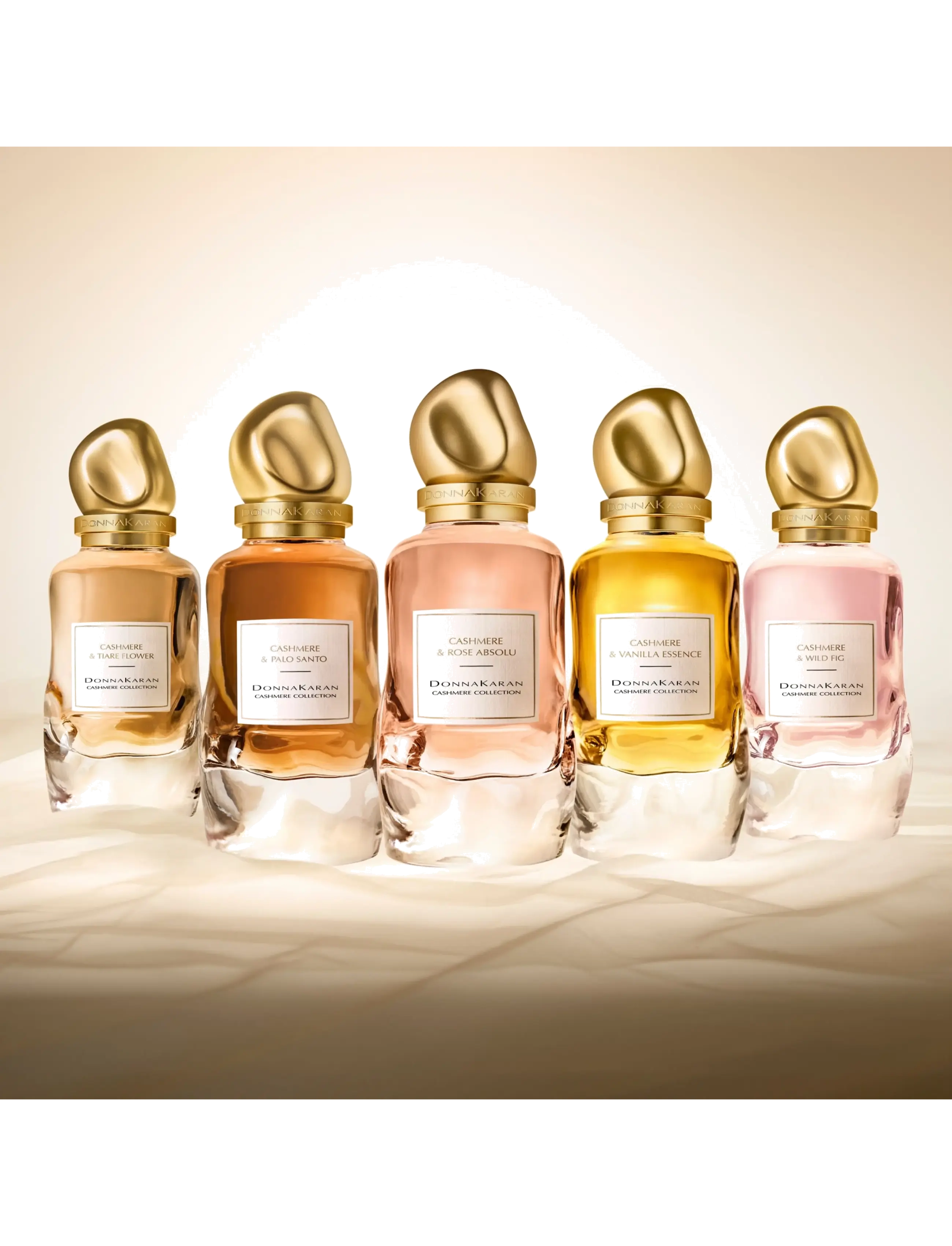Cashmere Collection Rose Absolu Eau De Parfum 5