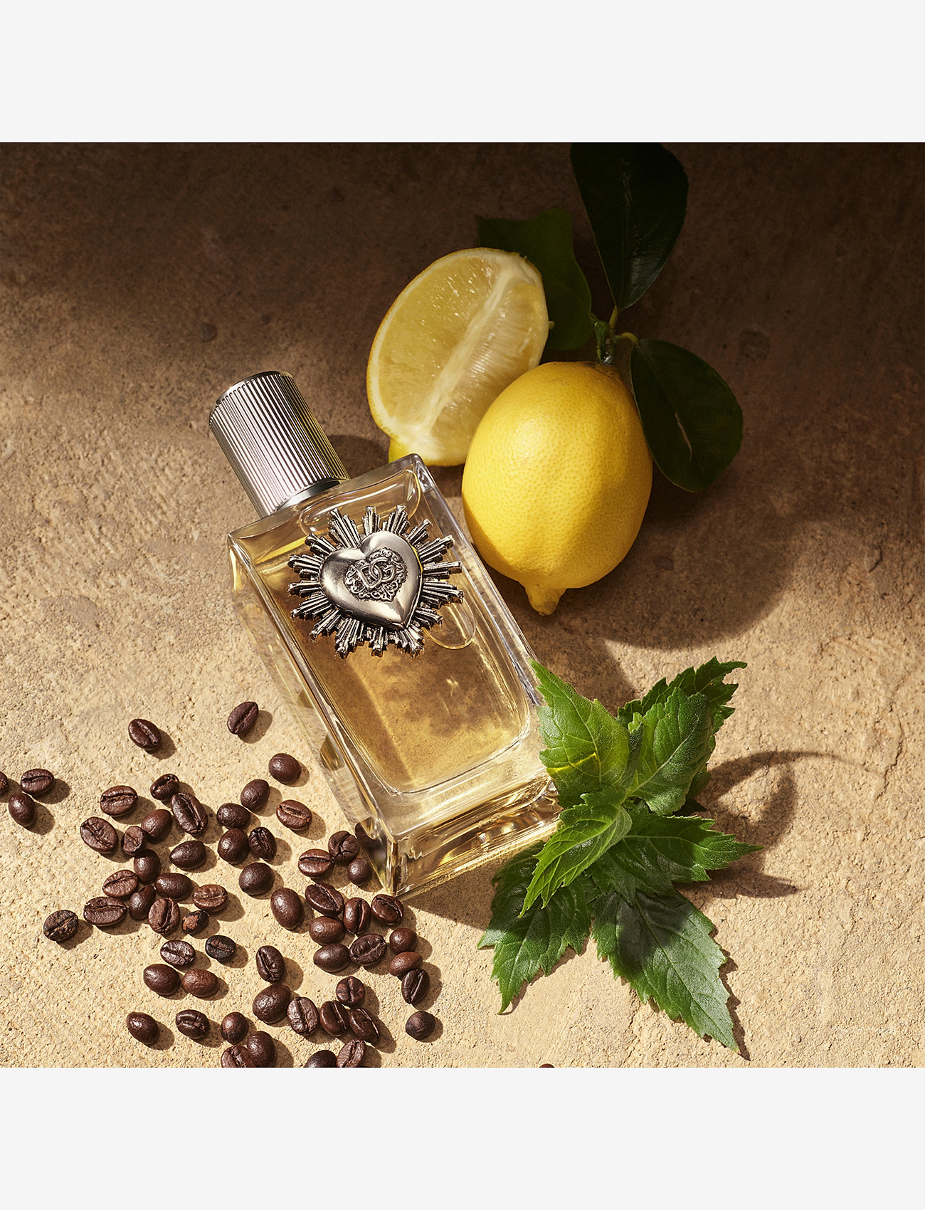 Dolce&Gabbana - Devotion Pour Homme EdP - til ham  - clear - 2