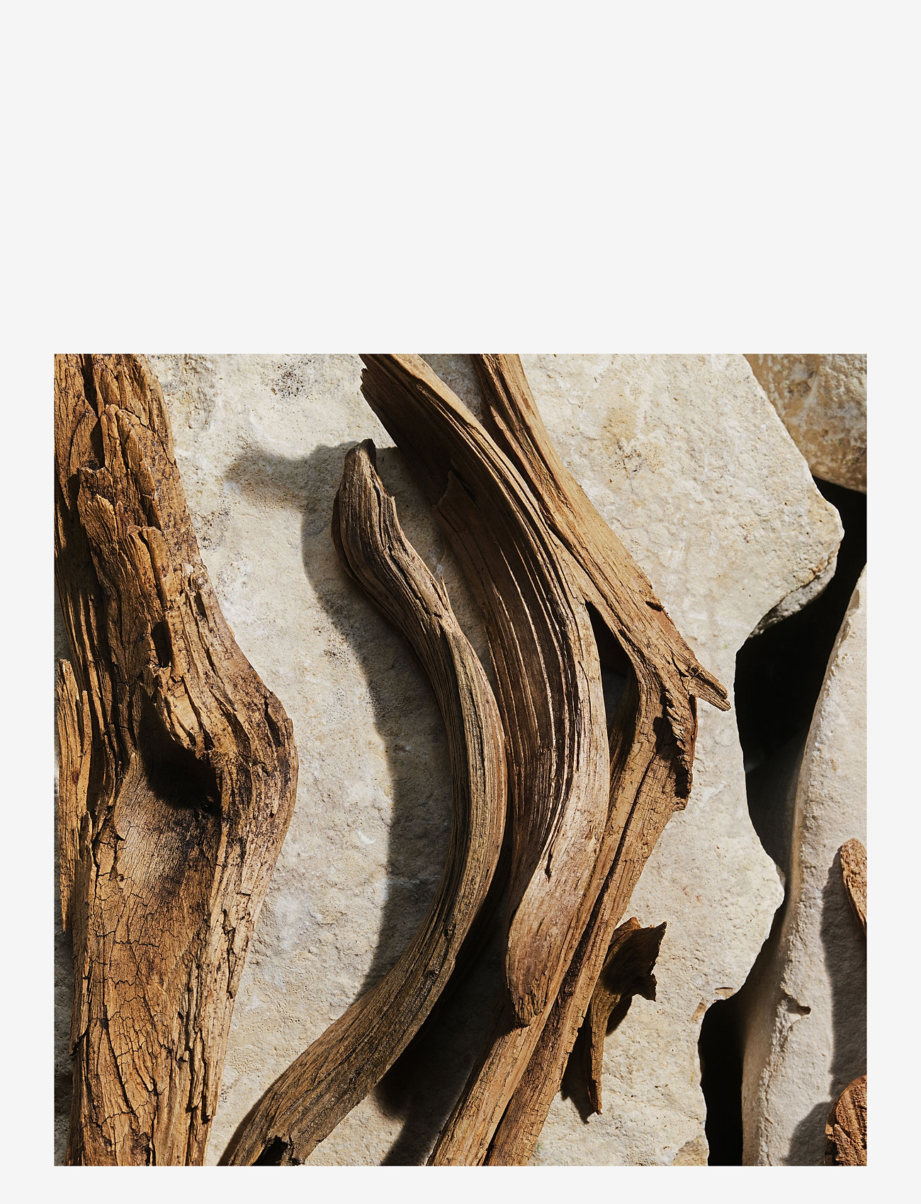 Dolce&Gabbana - Light Blue EdT - bliv klar til date night - clear - 5