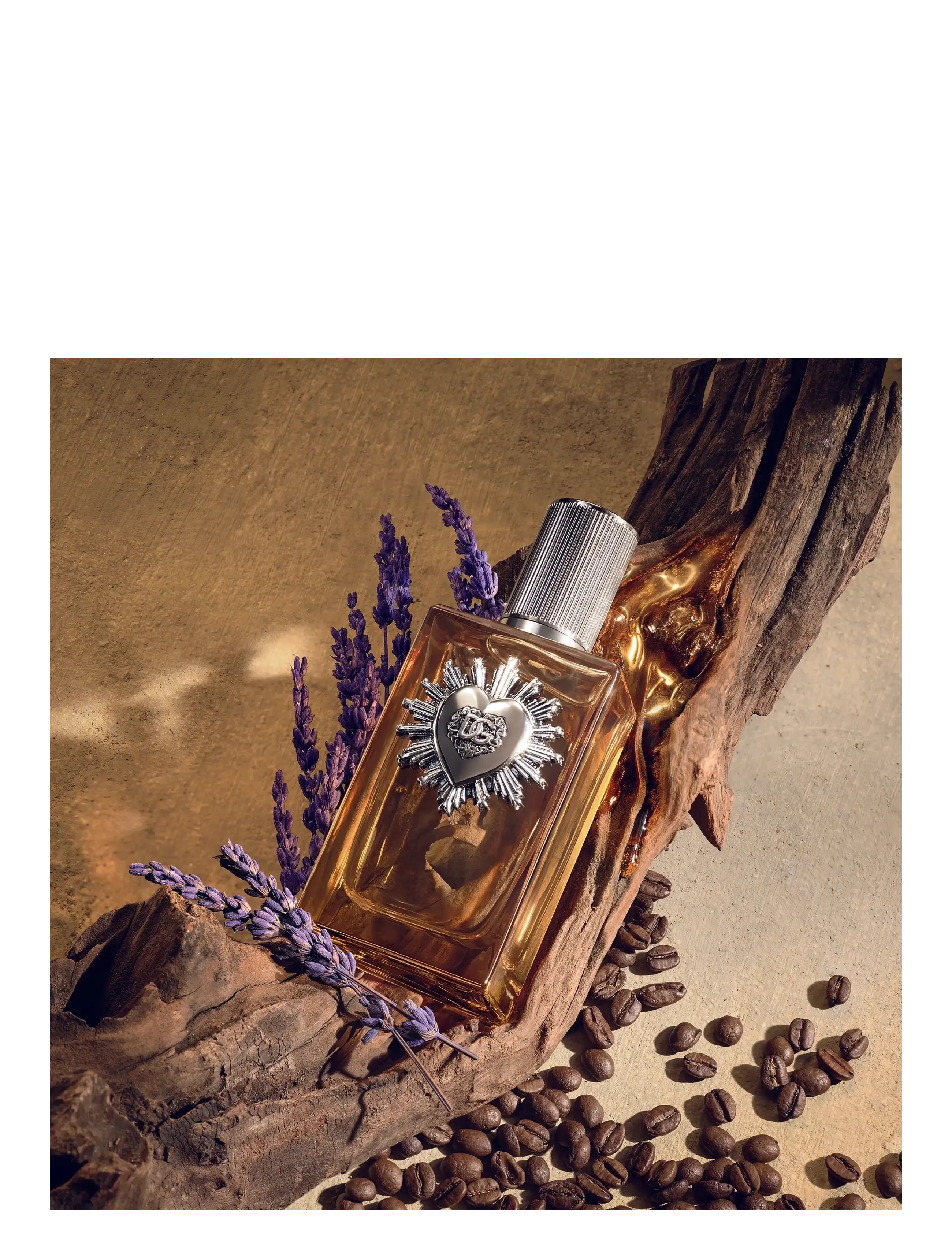 Devotion Pour Homme Parfym Edp Vapo 5