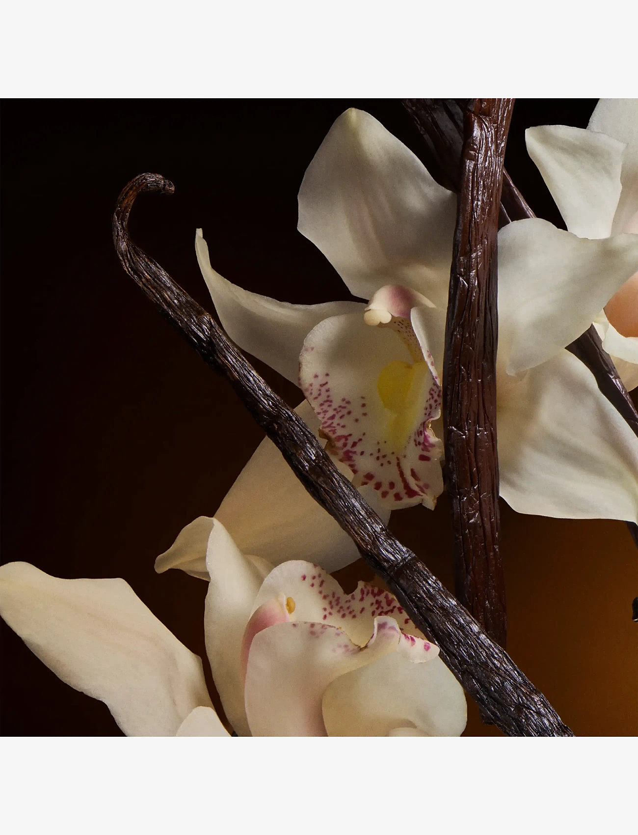 Dolce&Gabbana - The One EdP Intense - redo för date night - clear - 5