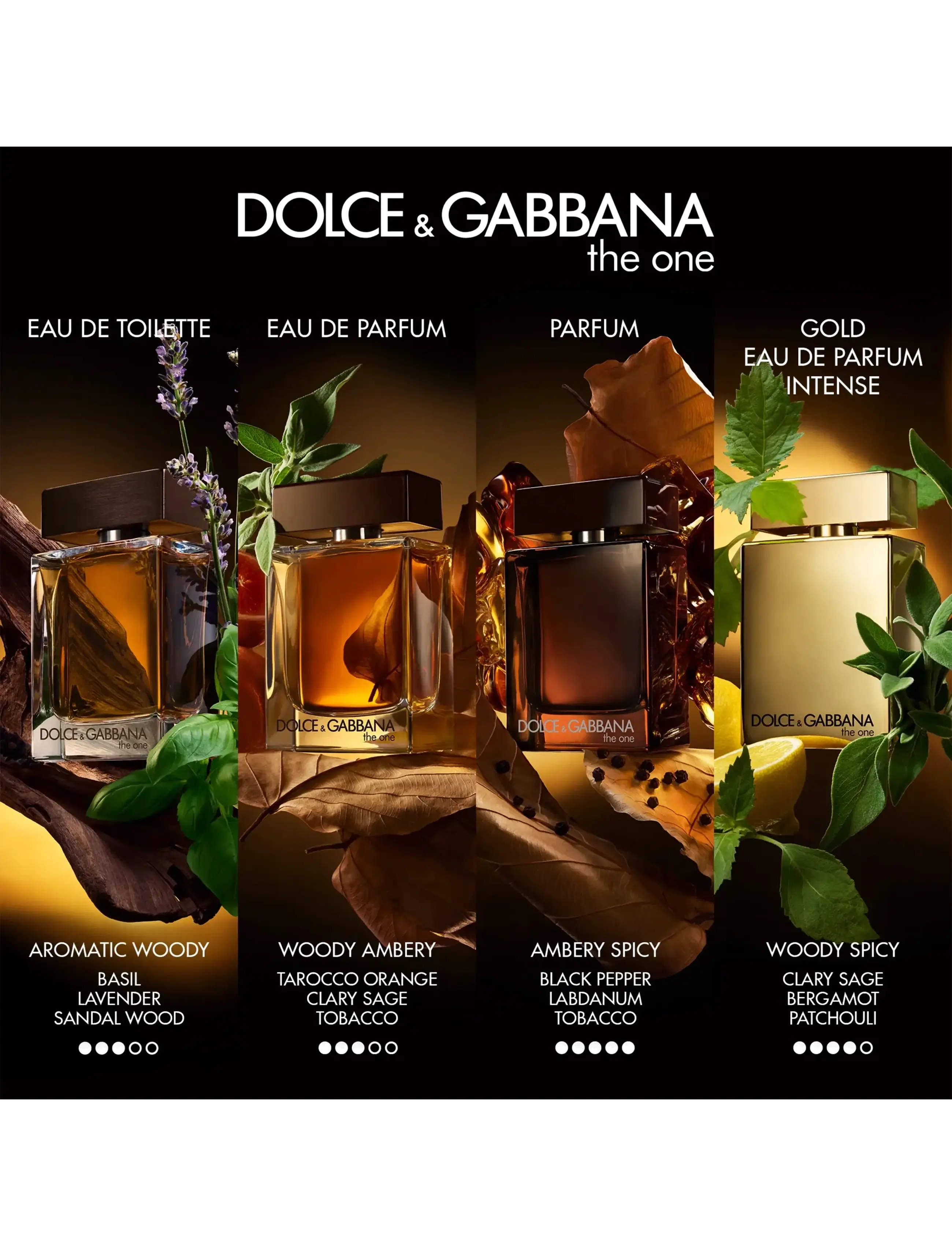 Dolce&Gabbana - The One Pour Homme Parfum - til ham  - clear - 4