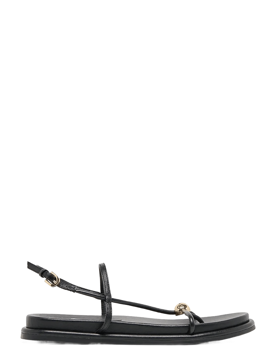 Dolce Vita - Deane - platta sandaler - black - 1