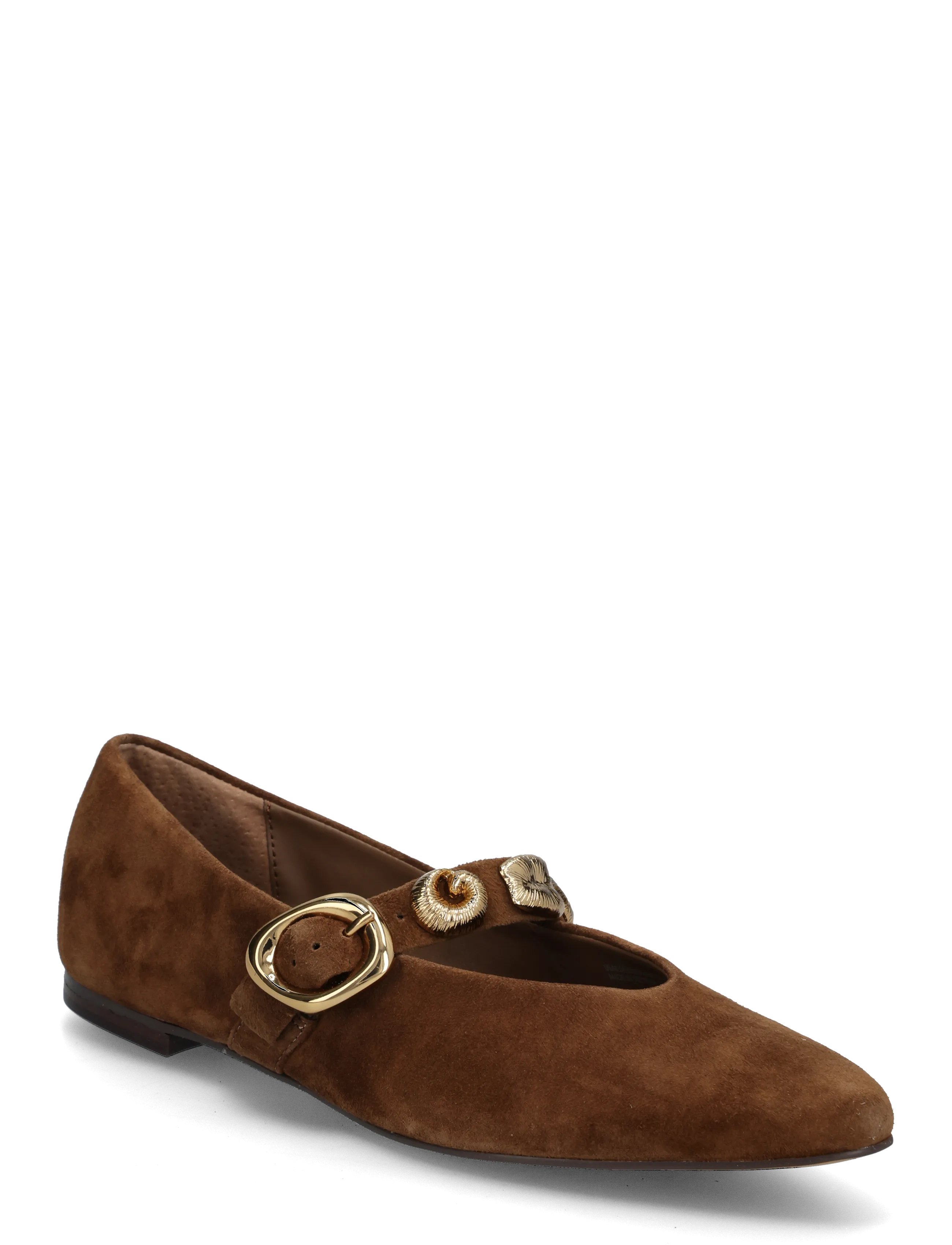 Dolce Vita Loree - Schuhe - CHESTNUT / brown