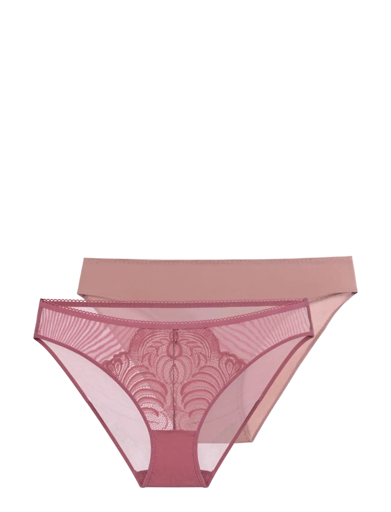 Dorina LINCOLN 2PP BRIEF - Panties - PINK/PURPLE / pink/rose
