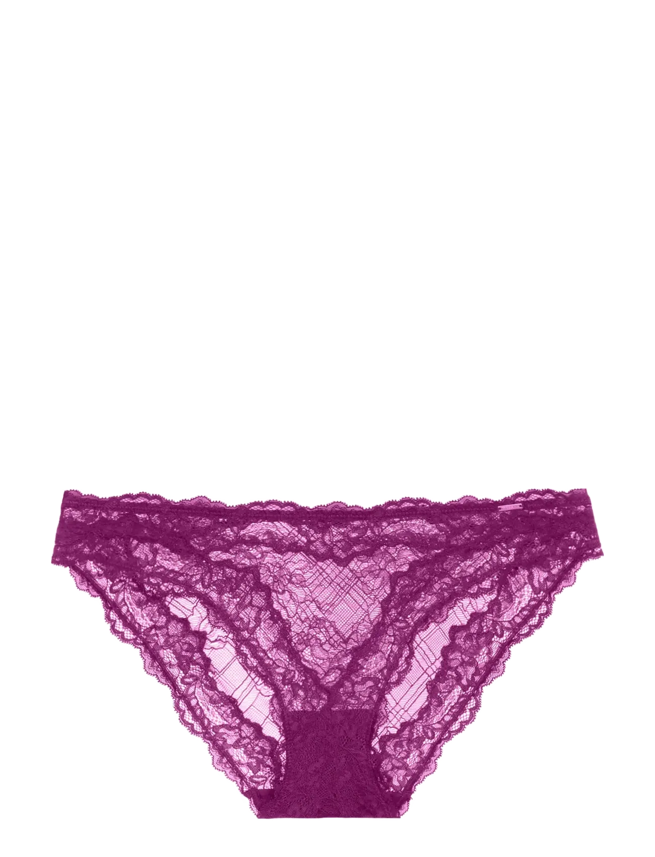 Dorina ORIGINS LACE BRIEF - Alusvaatteet - FUCHSIA / purple