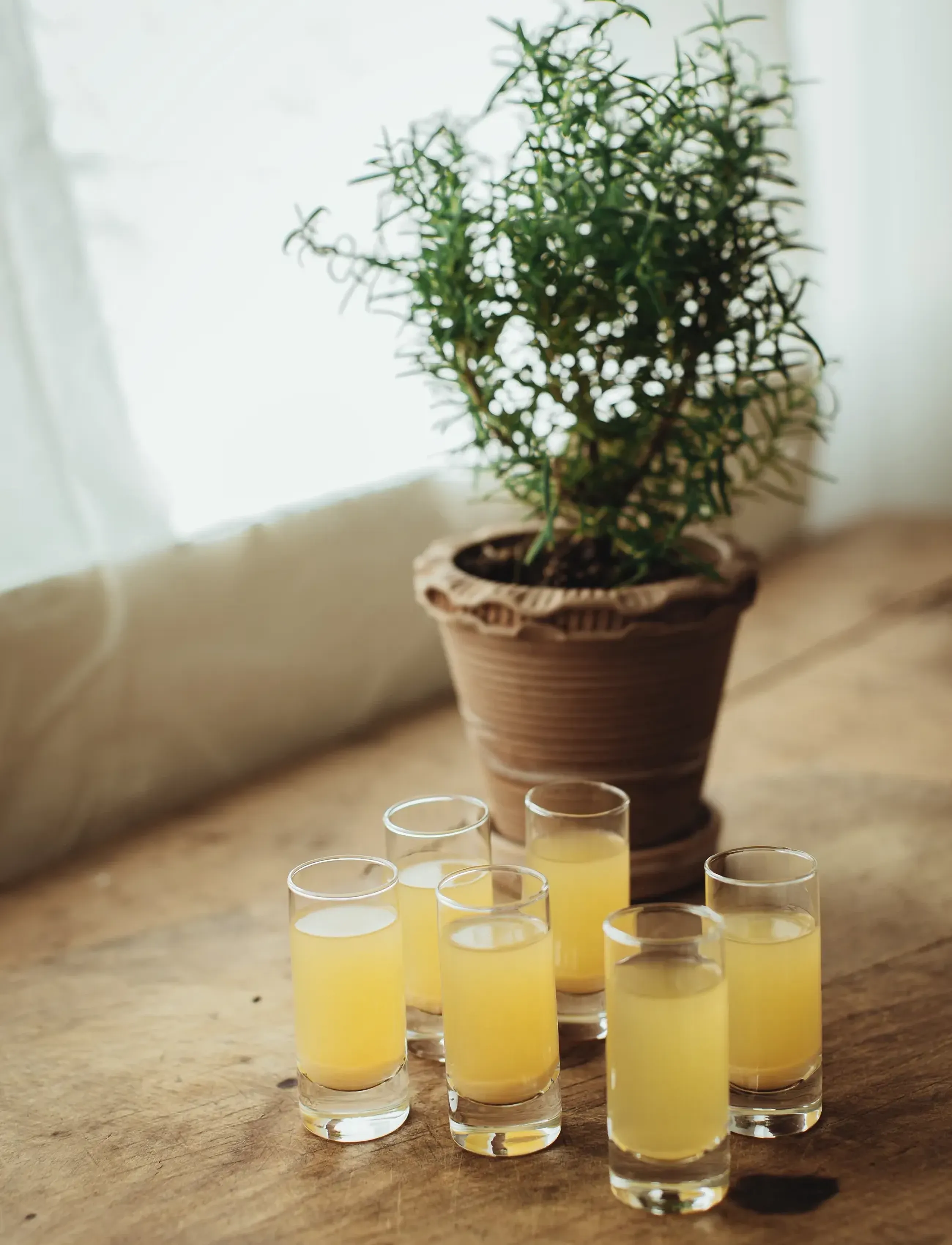 Dorre - Saba Snapsglas 6-pack - shot glasses - transparant - 0