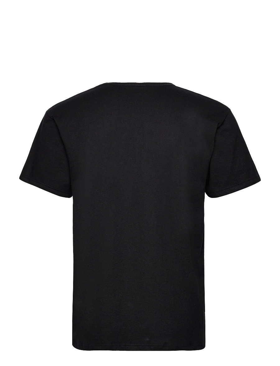 Dovre - Dovre T-shirts V-neck organic - v-neck t-shirts - black - 1