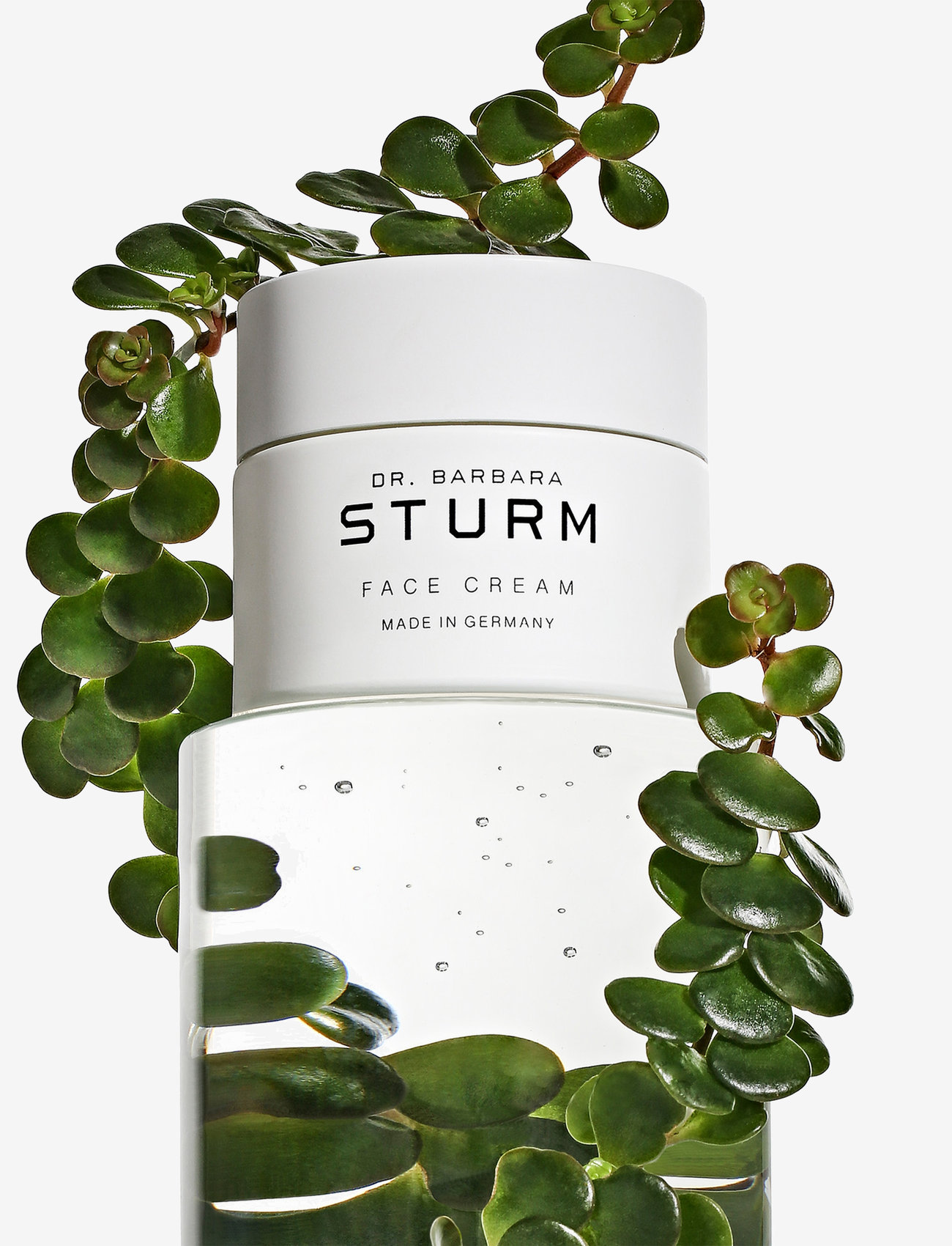 Dr. Barbara Sturm - Face Cream - no color - 5