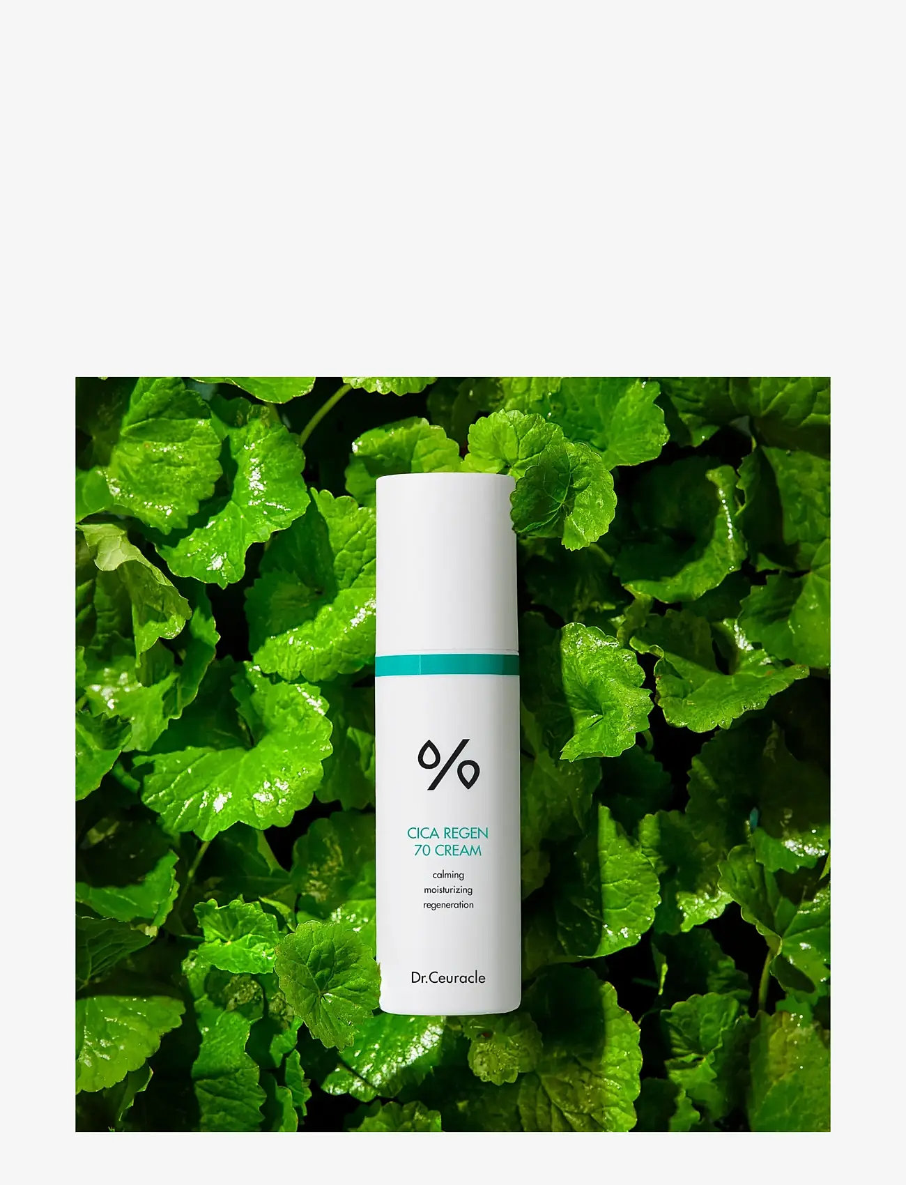 Dr. Ceuracle - Dr.Ceuracle Cica Regen 70 Cream 50g - dagkräm - no color - 2