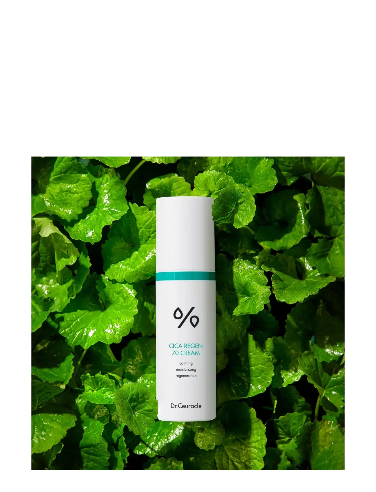 Dr. Ceuracle - Dr.Ceuracle Cica Regen 70 Cream 50g - dagkrem - no color - 2