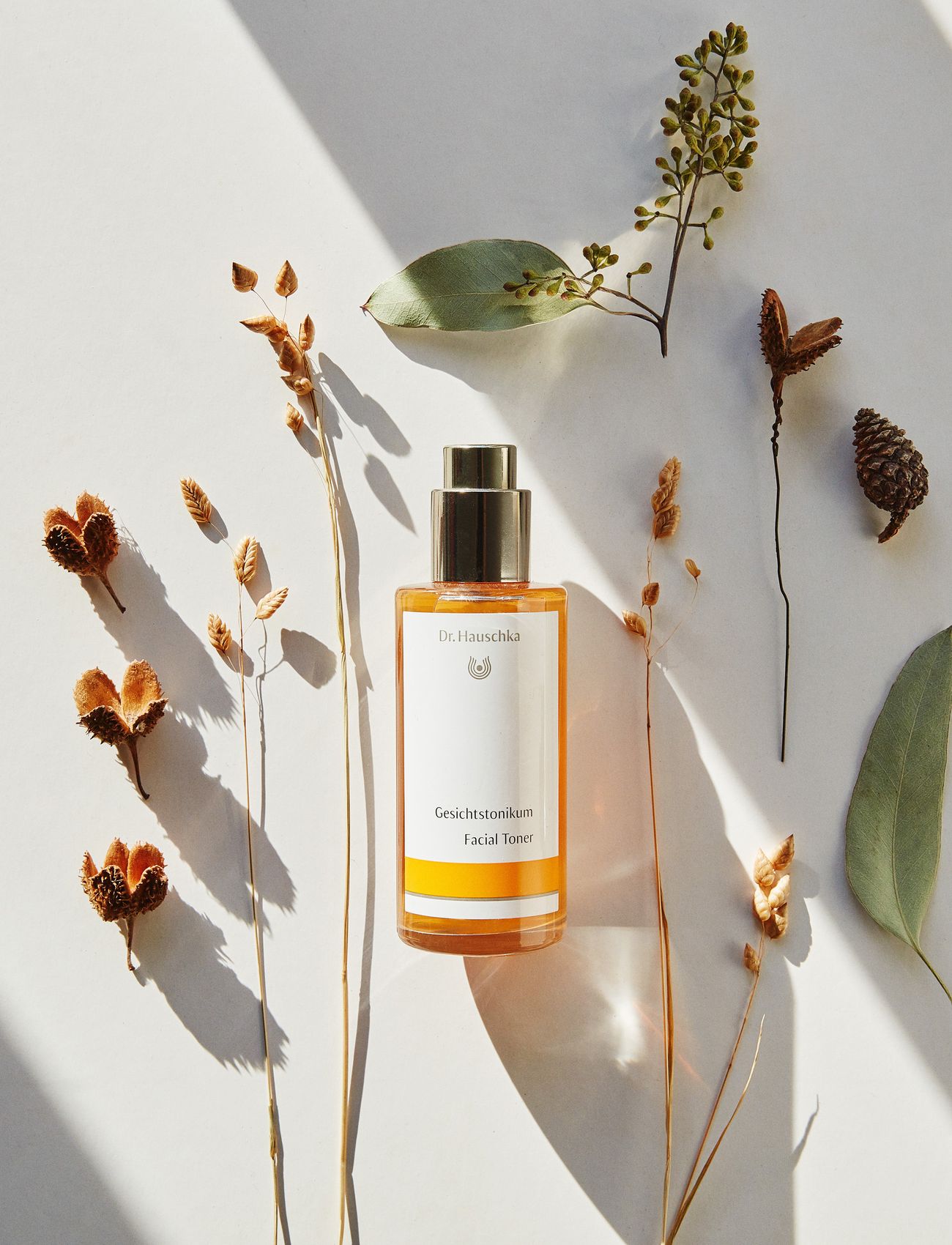 Dr. Hauschka - Facial Toner - hydrating toners - clear - 1